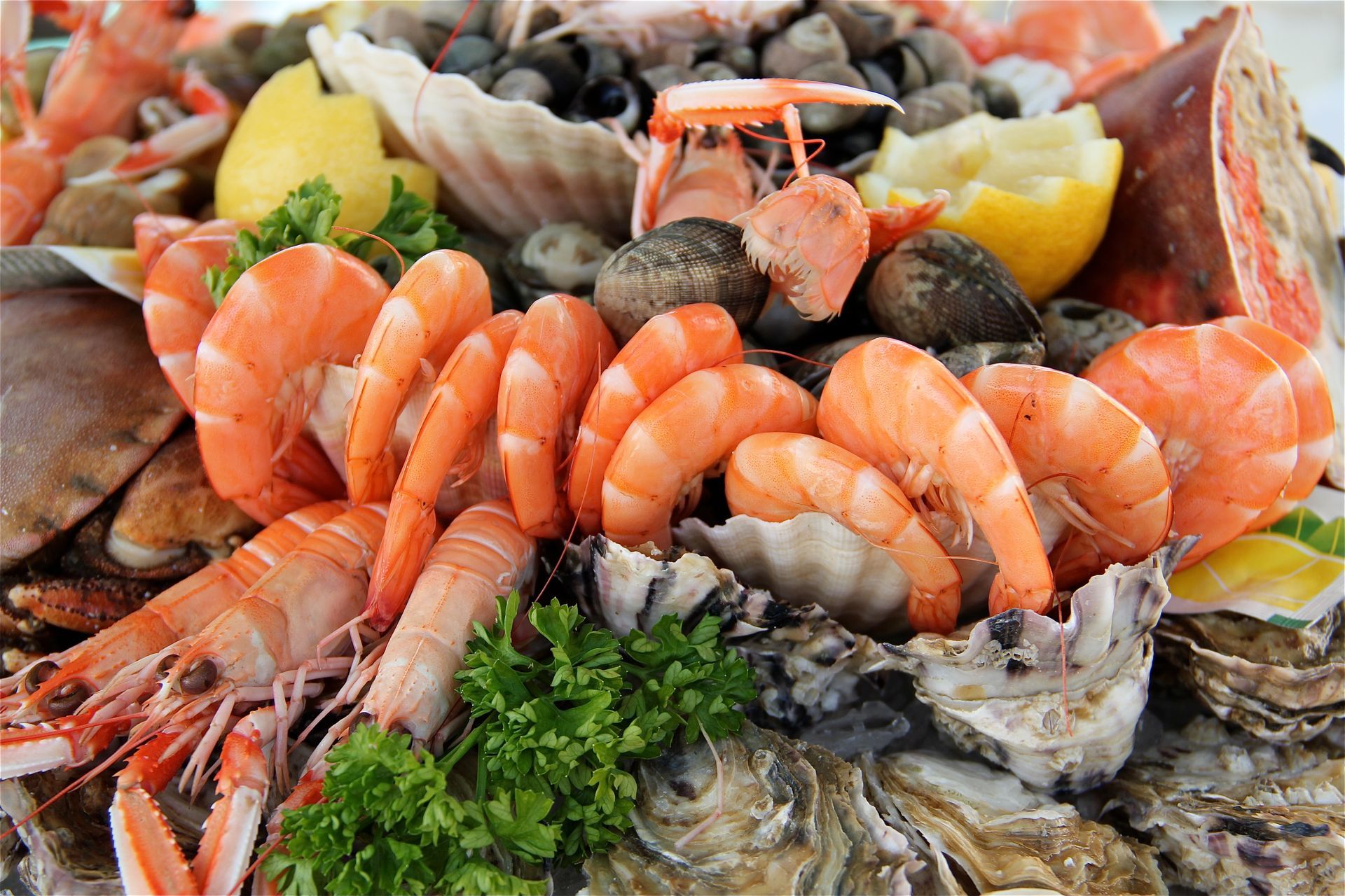 Un plateau de fruits de mer frais, avec des crevettes, des huîtres, des palourdes et des quartiers de citron.