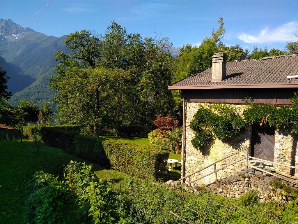 TheNewAncientHome