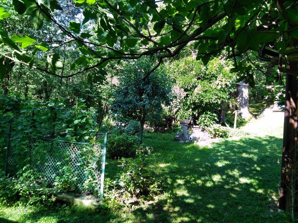 TheNewAncientHome