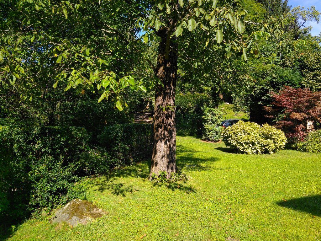 TheNewAncientHome