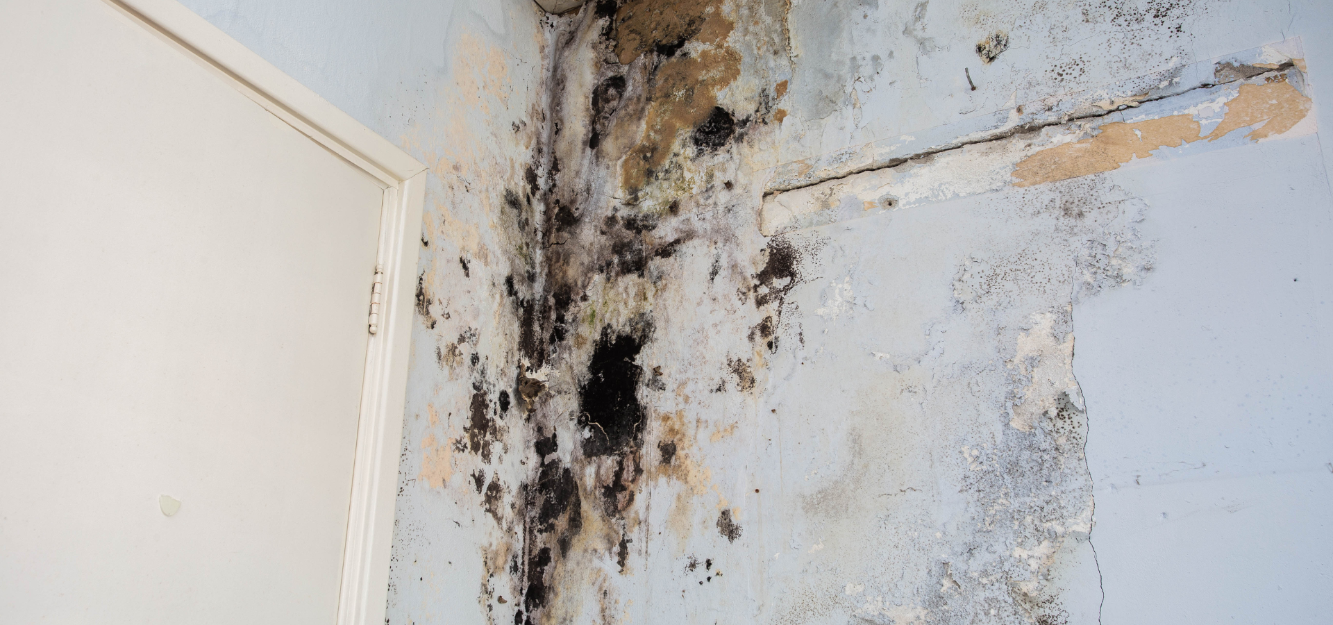 Mur avec moisissures et décoloration importantes dans une pièce, près d'un cadre de porte.