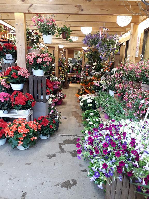 Parola Fleurs
