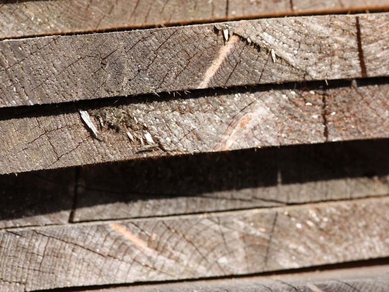 bedachungen holzbau zimmerei - Bosshard Söhne AG in Buch am Irchel