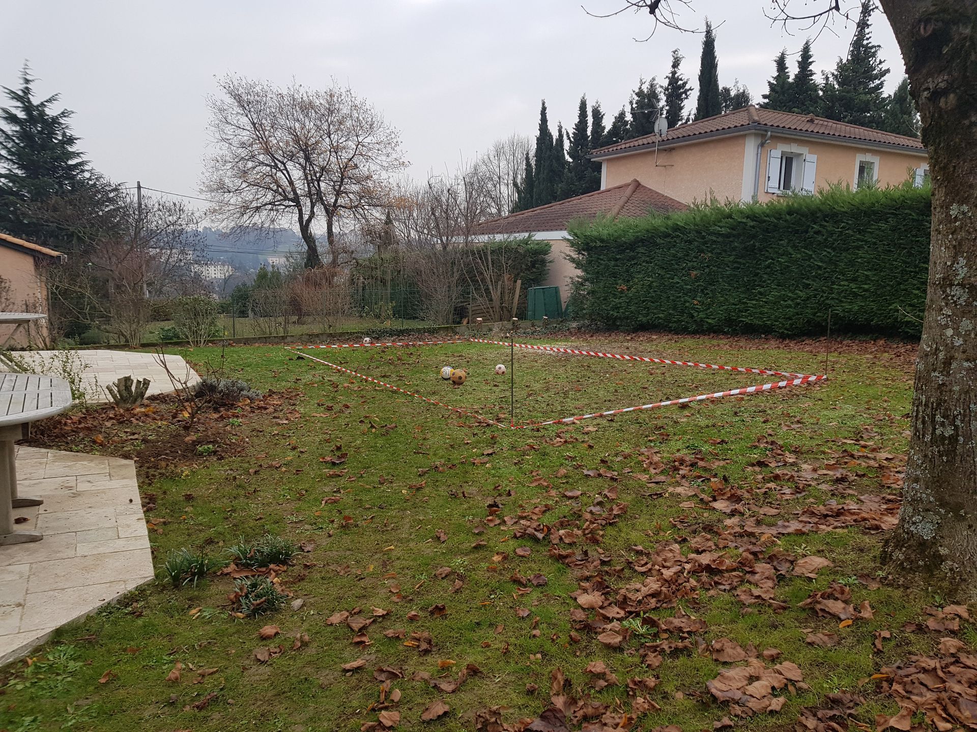 Jardin arrière avec pelouse clairsemée, haies, arbres et une maison sous un ciel couvert.