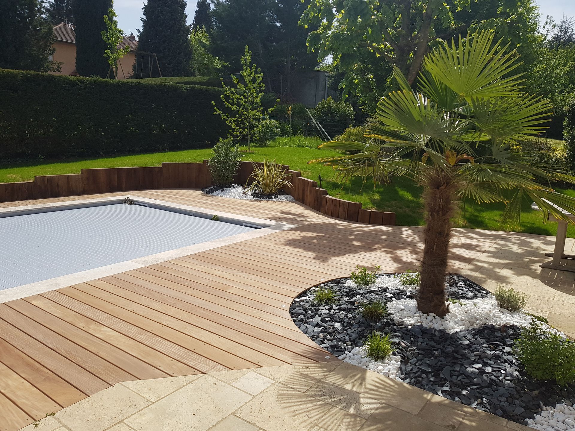 Patio moderne dans une cour arrière avec terrasse en bois, piscine et palmier dans un jardin paysager