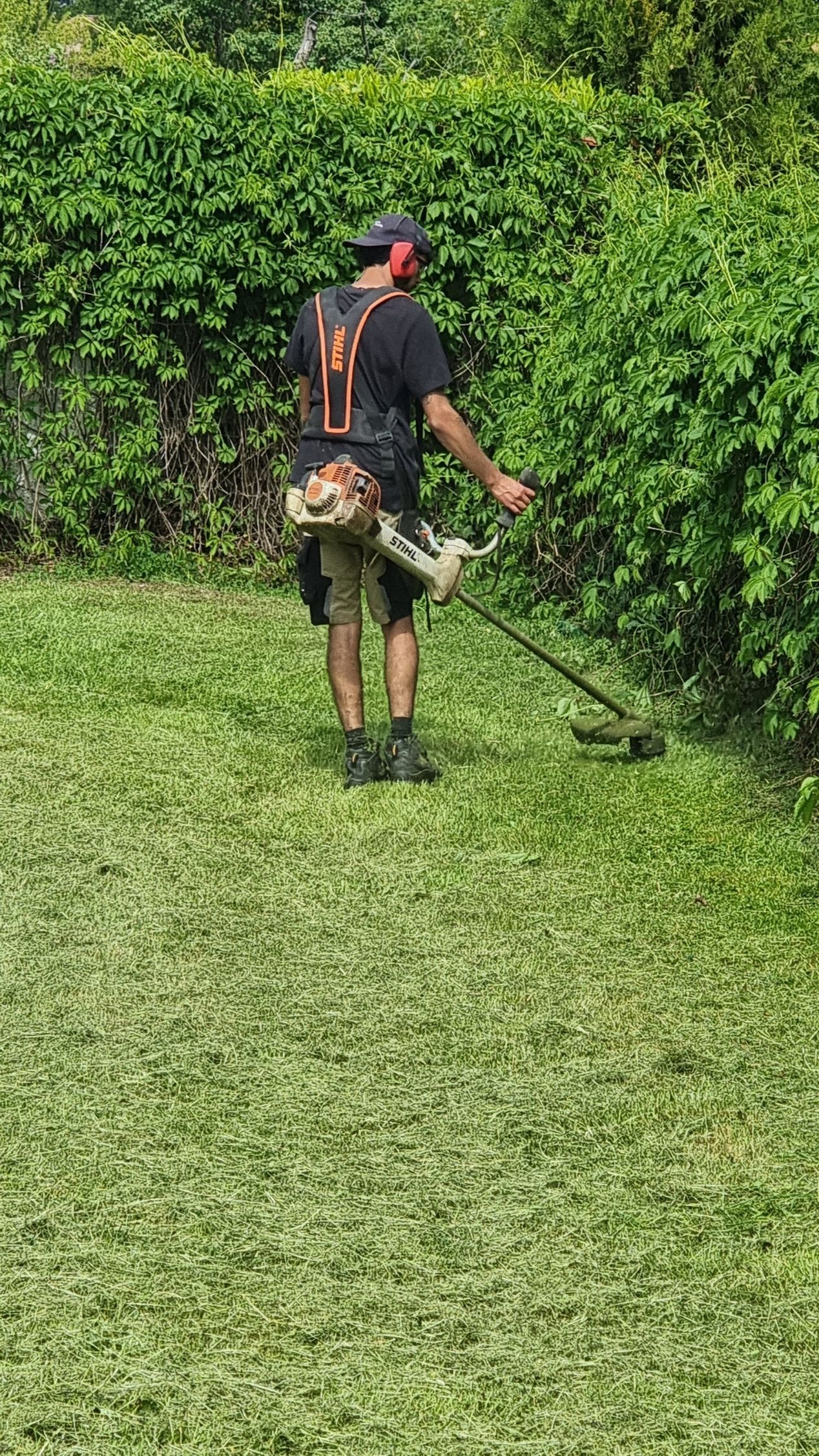 Une personne utilise un coupe-bordures le long d'une haie feuillue dans un jardin gazonné.
