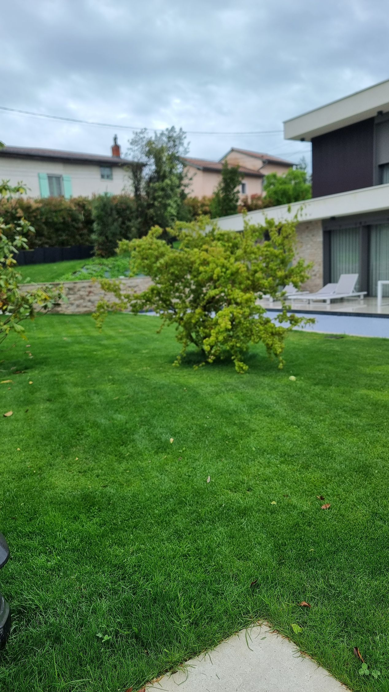 Pelouse verdoyante à l'arrière avec un petit arbre, maison moderne et ciel nuageux