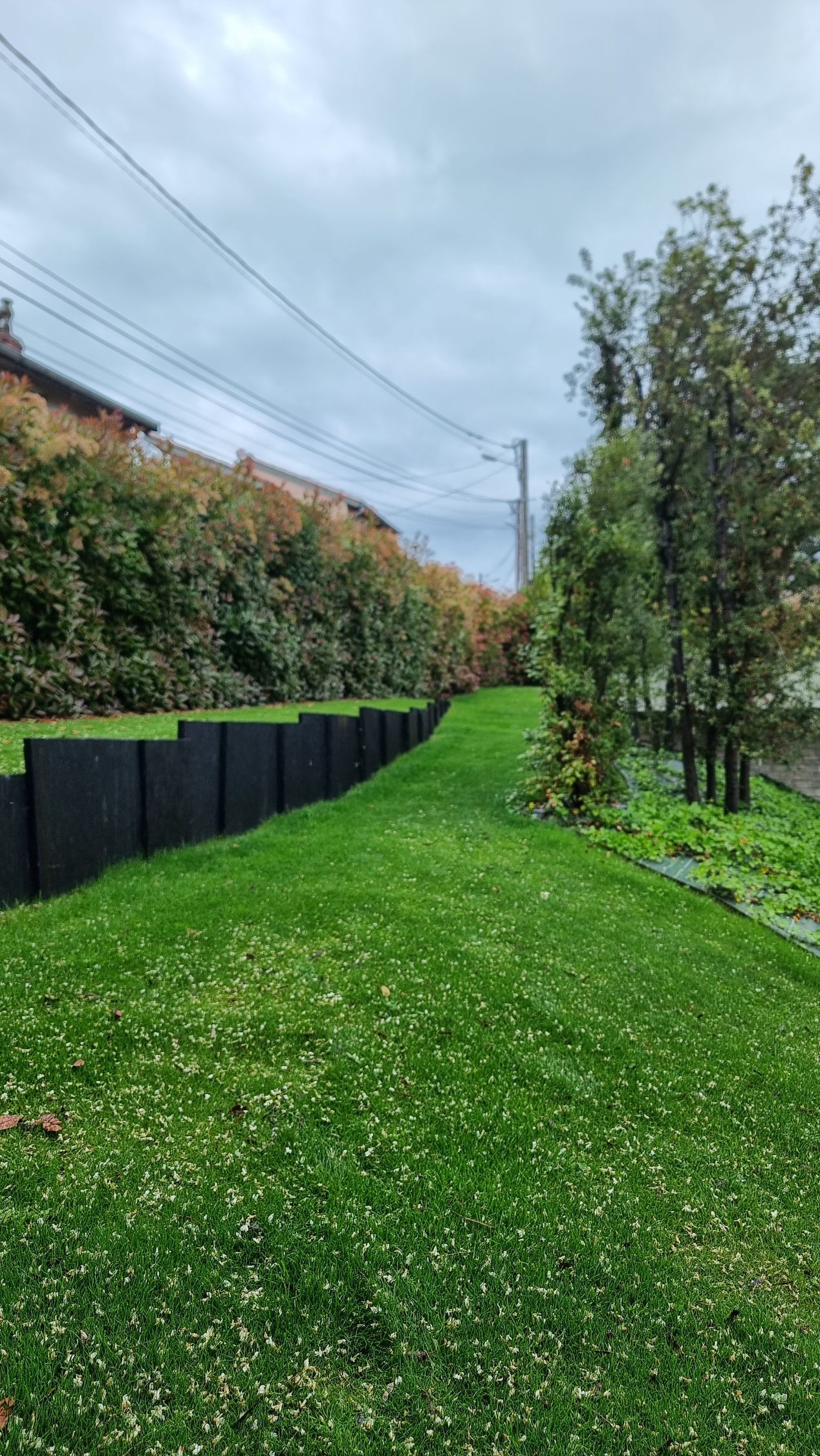 Chemin herbeux longeant une clôture noire, des arbres et des lignes électriques aériennes sous un ciel nuageux.