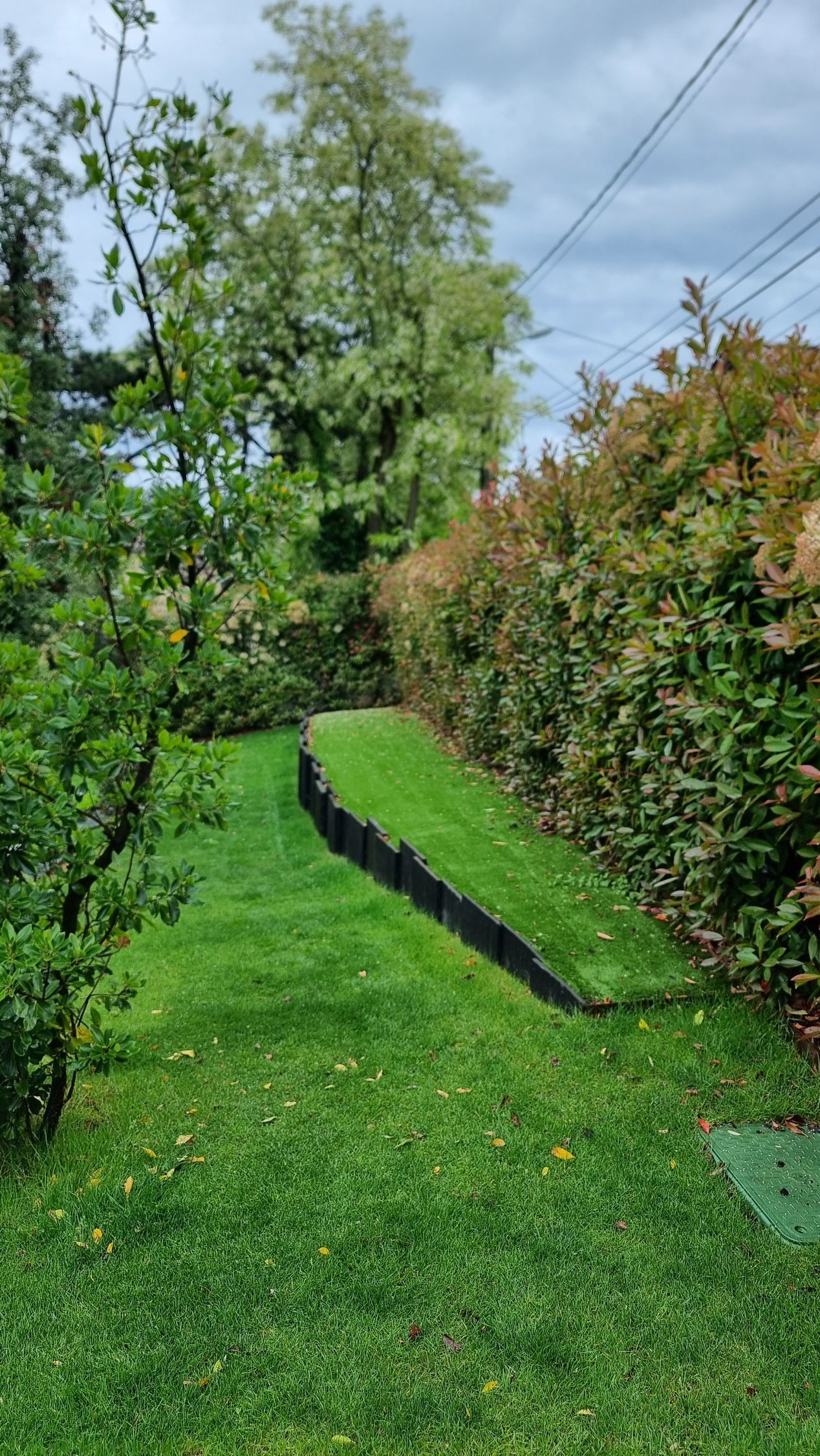 Un étroit chemin herbeux longe une haie basse et un trottoir noir incliné dans un jardin ensoleillé