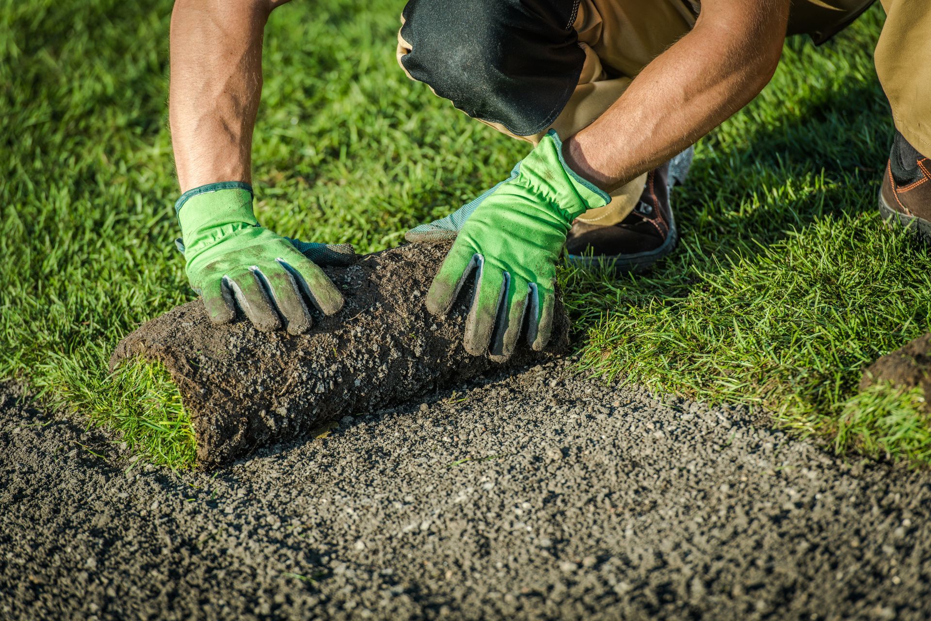 Une personne portant des gants verts pose du gazon en rouleaux sur une pelouse, installant de l'herbe fraîche le long d'un chemin en béton.