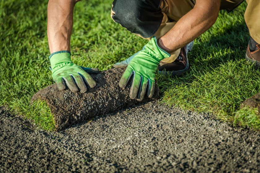 Une personne portant des gants verts pose du gazon en rouleaux sur une pelouse, installant de l'herbe fraîche le long d'un chemin en béton.