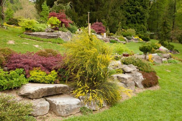 Jardin paysager avec rochers, pelouse verte et arbustes jaunes et violets parmi les arbres.