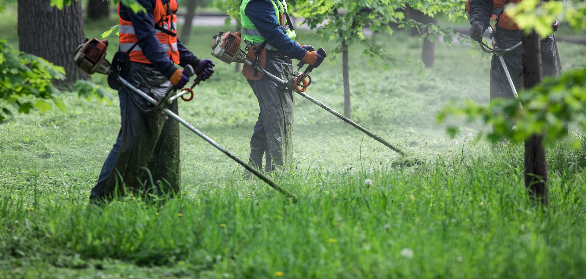 Des ouvriers coupent l'herbe à l'aide de débroussailleuses dans un parc verdoyant, projetant des brins d'herbe coupée dans le ciel.