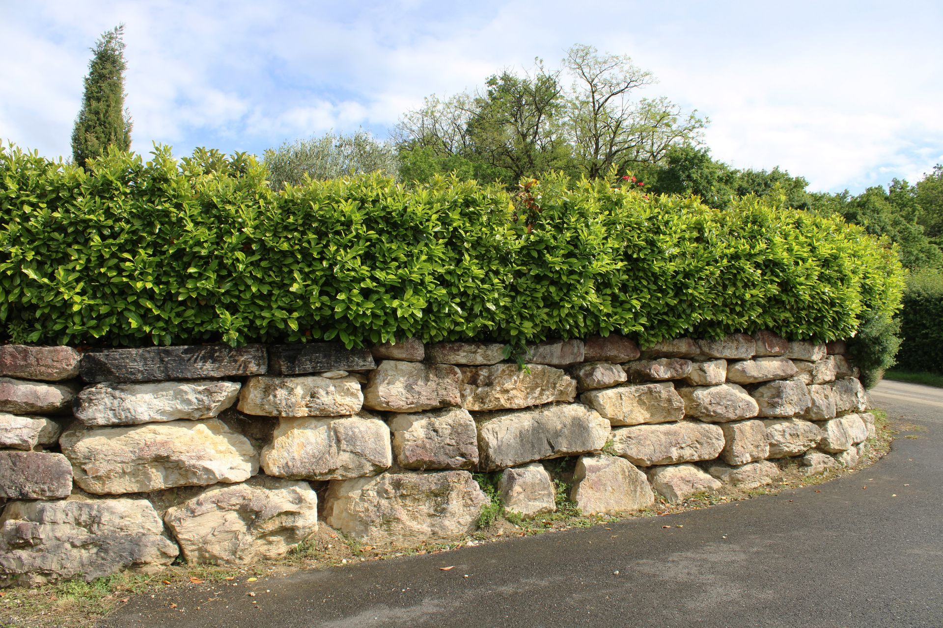 Mur de soutènement en pierre surmonté d'une dense végétation verte, bordant une route pavée sous un ciel bleu.