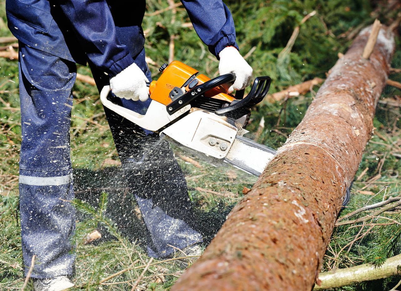 Persona usando una motosierra para cortar un tronco. La sierra es naranja y blanca, rodeada de virutas de madera.