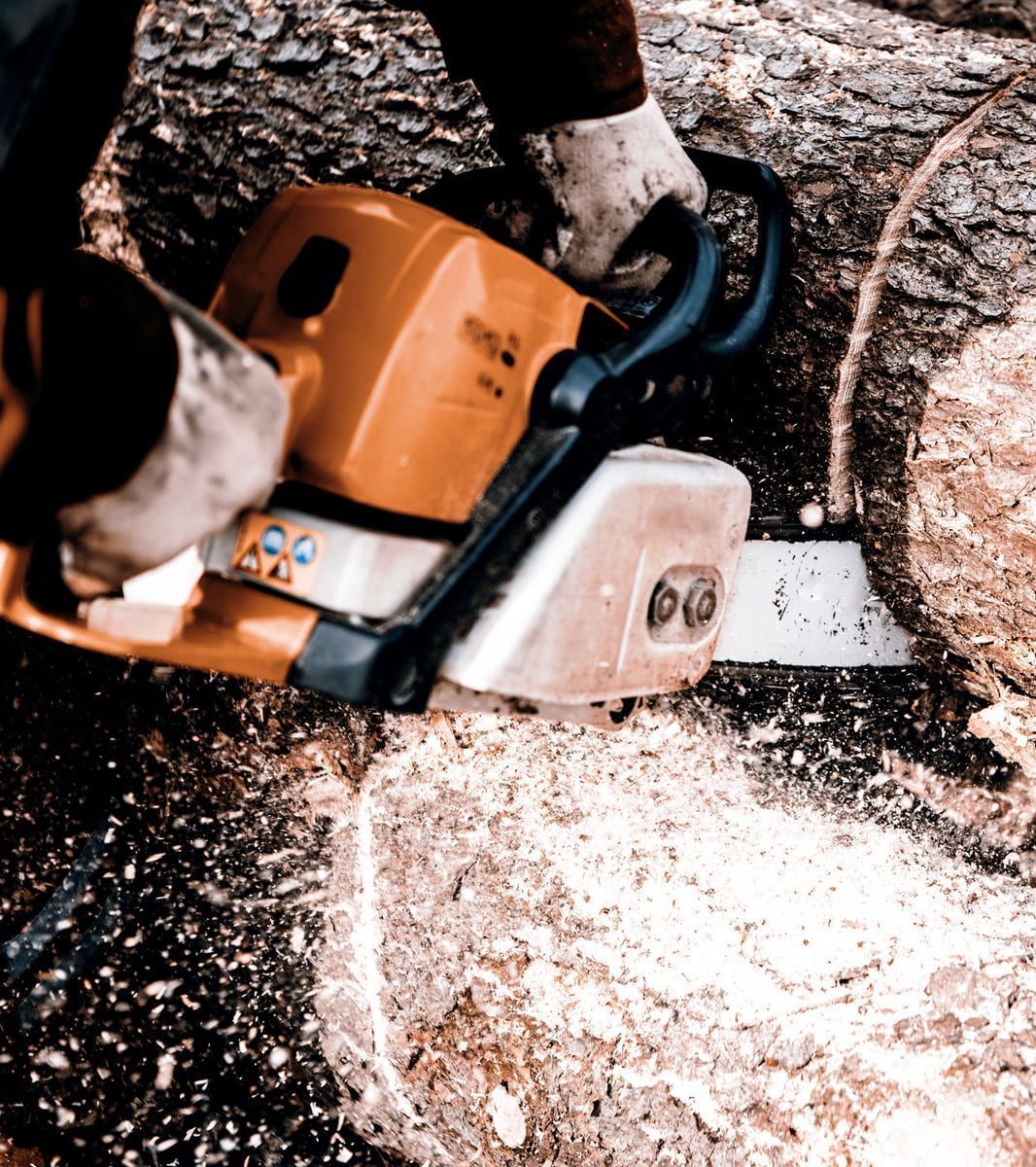 Persona que utiliza una motosierra naranja para cortar un tronco, virutas de madera visibles.