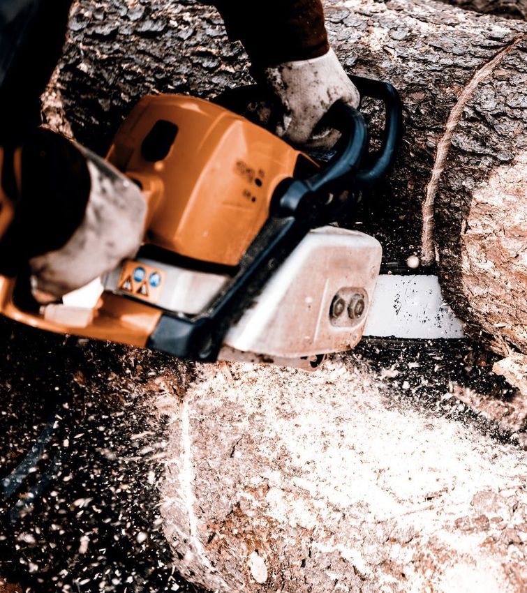 Persona que utiliza una motosierra naranja para cortar un tronco, virutas de madera visibles.