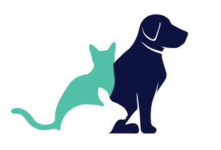 Un perro y un gato están sentados uno al lado del otro sobre un fondo blanco.