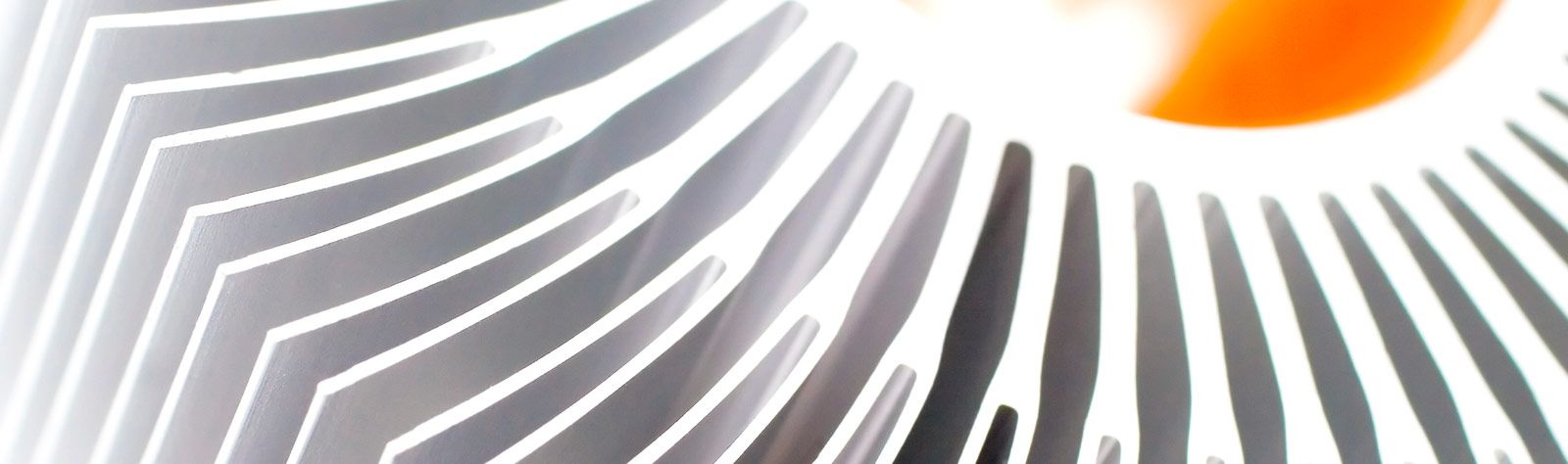 Un primer plano de un estampado de cebra sobre un fondo blanco.