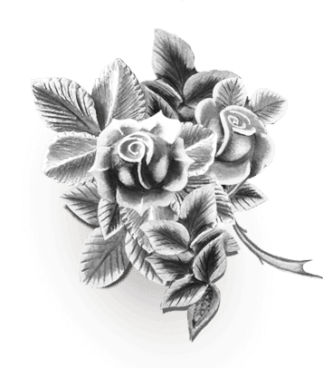Eine schwarzweiße Zeichnung von drei Rosen mit Blättern auf weißem Hintergrund.