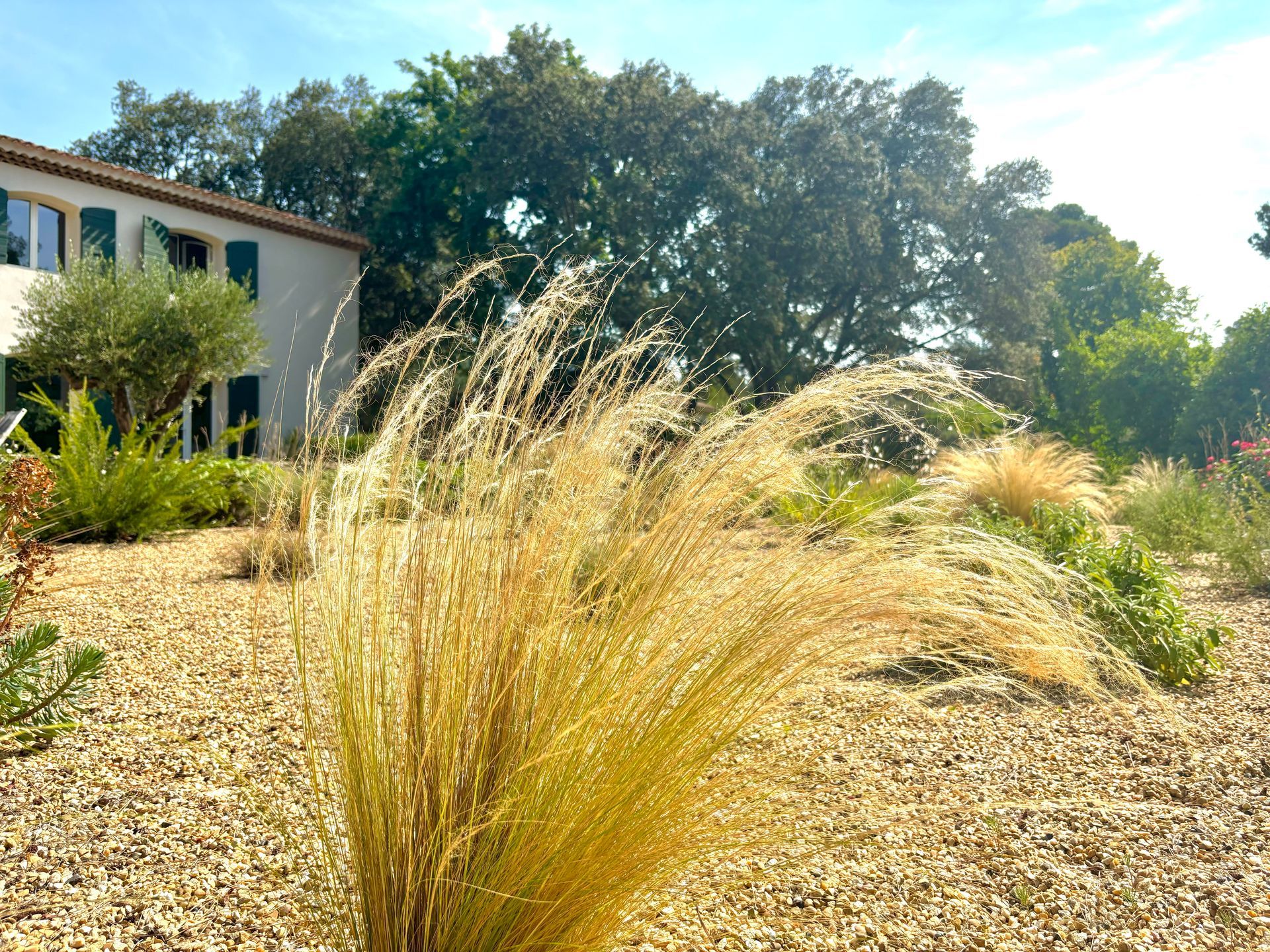 Cheveux d'ange et une maison à Aix-en-Provence
