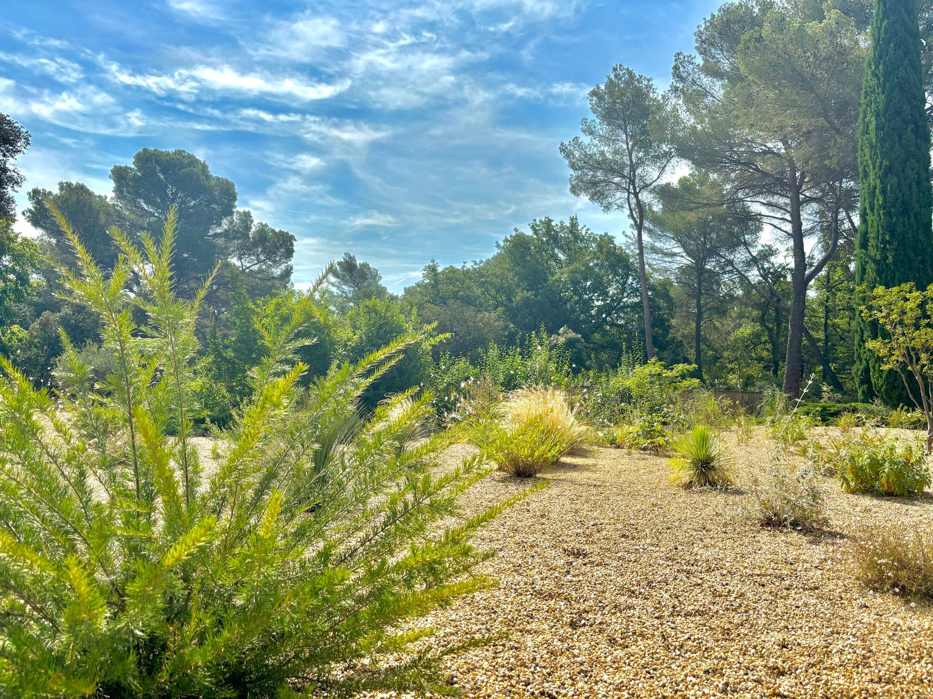 Magnifiques arbres sur grand terrain à Aix-en-Provence