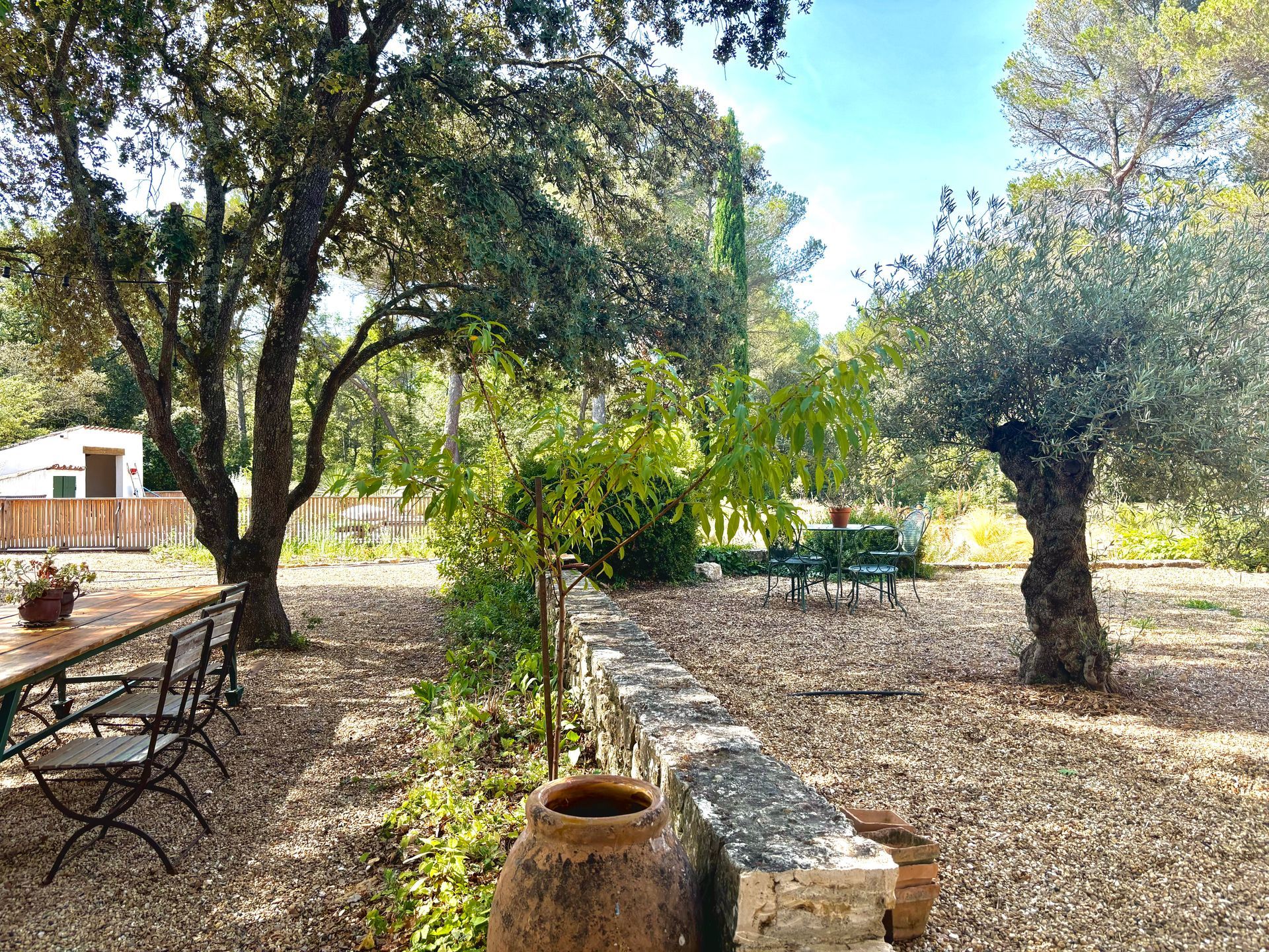 Divers arbres dans un jardin avec des tables et chaises d'extérieur à Aix-en-Provence