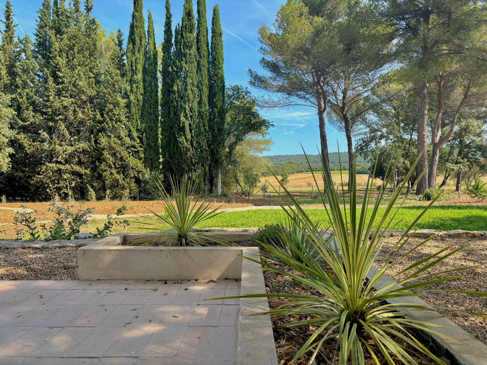 Jardinière sur terrasse à Aix-en-Provence 
