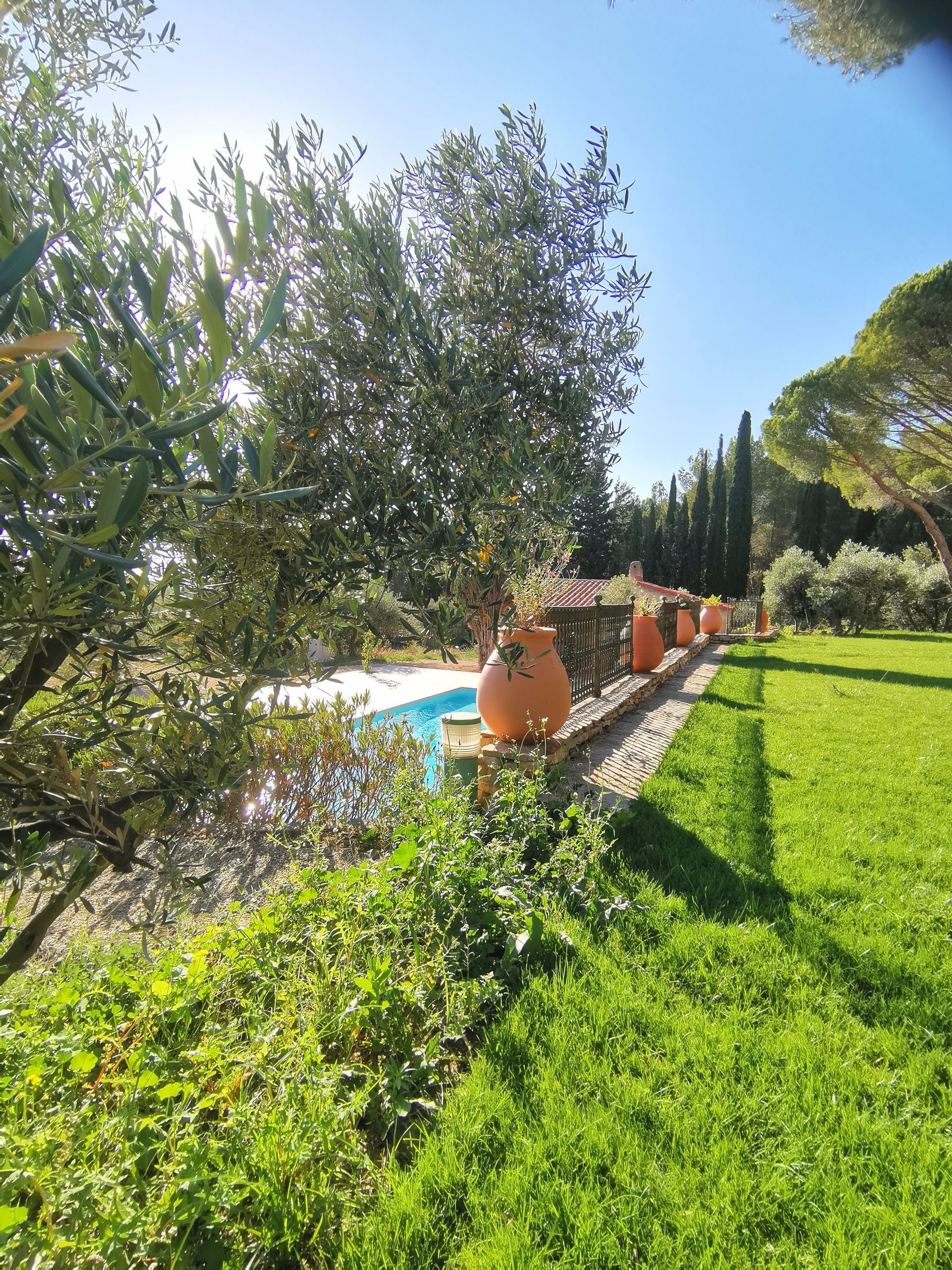 Arbres, arbustes, pelouse, piscine à Aix-en-Provence 