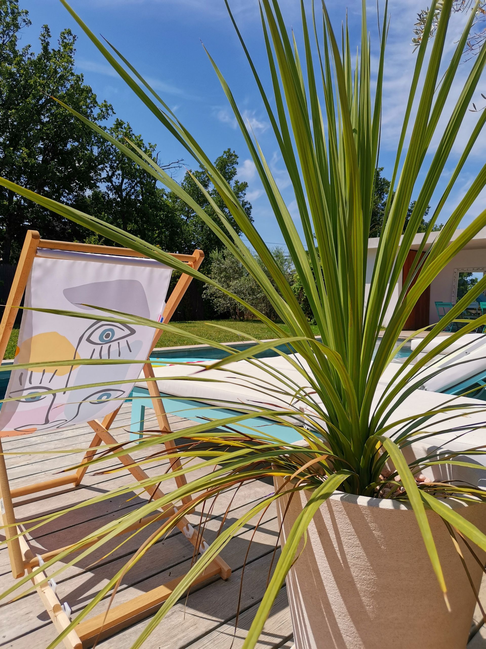 Plante verte avec chaise longue au bord d'une piscine à Aix-en-Provence 