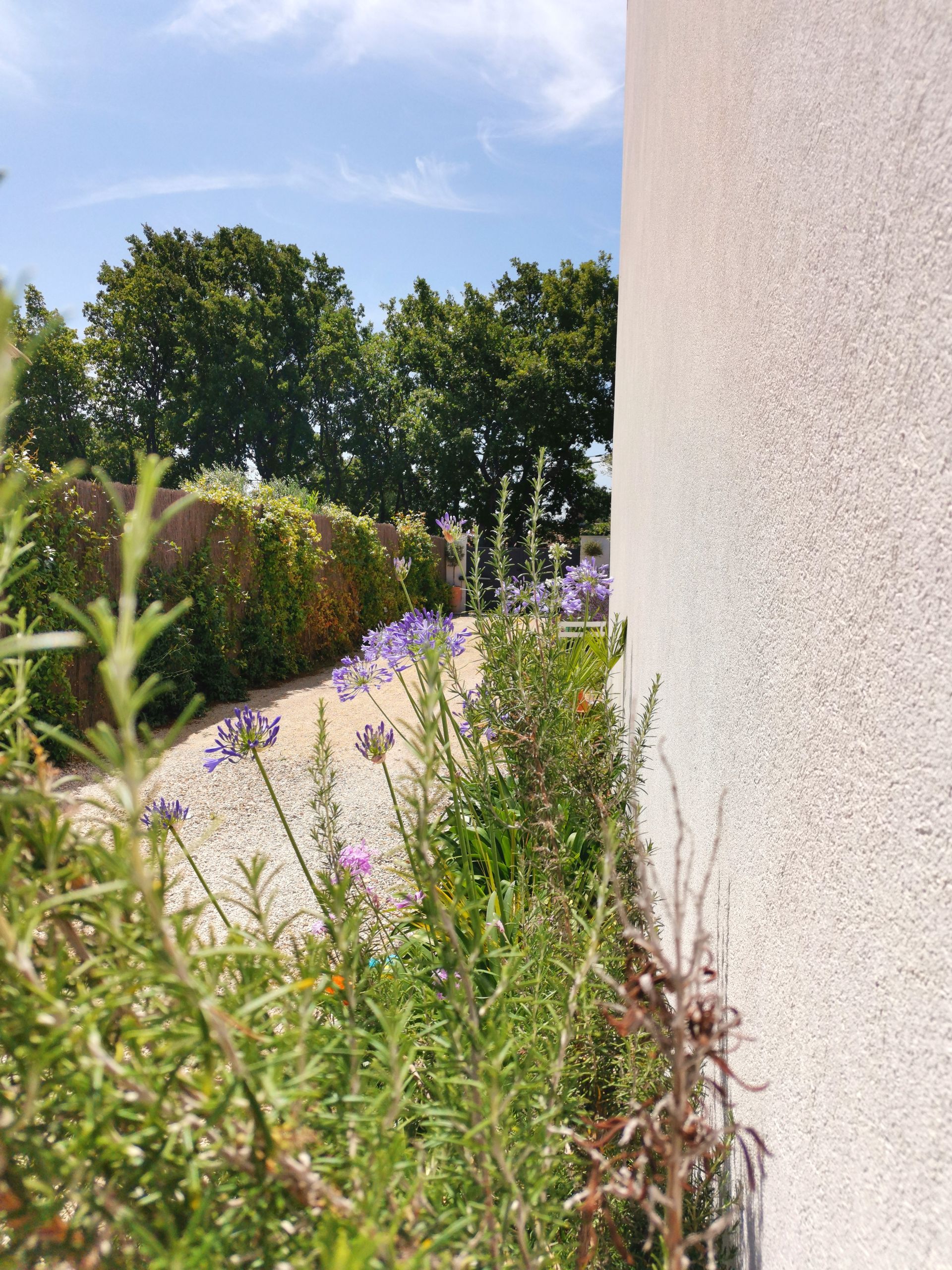 Vue d'une allée avec des plantes et des arbres à Aix-en-Provence 