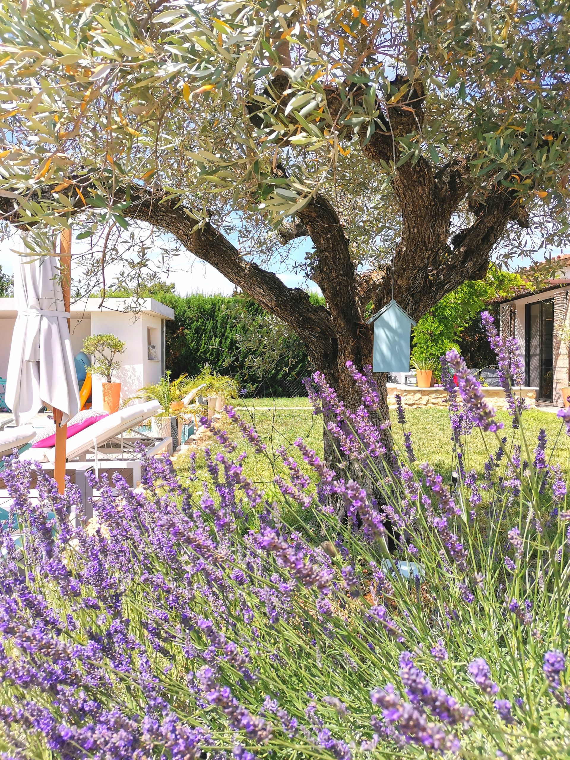 Création jardin Aix en Provence 