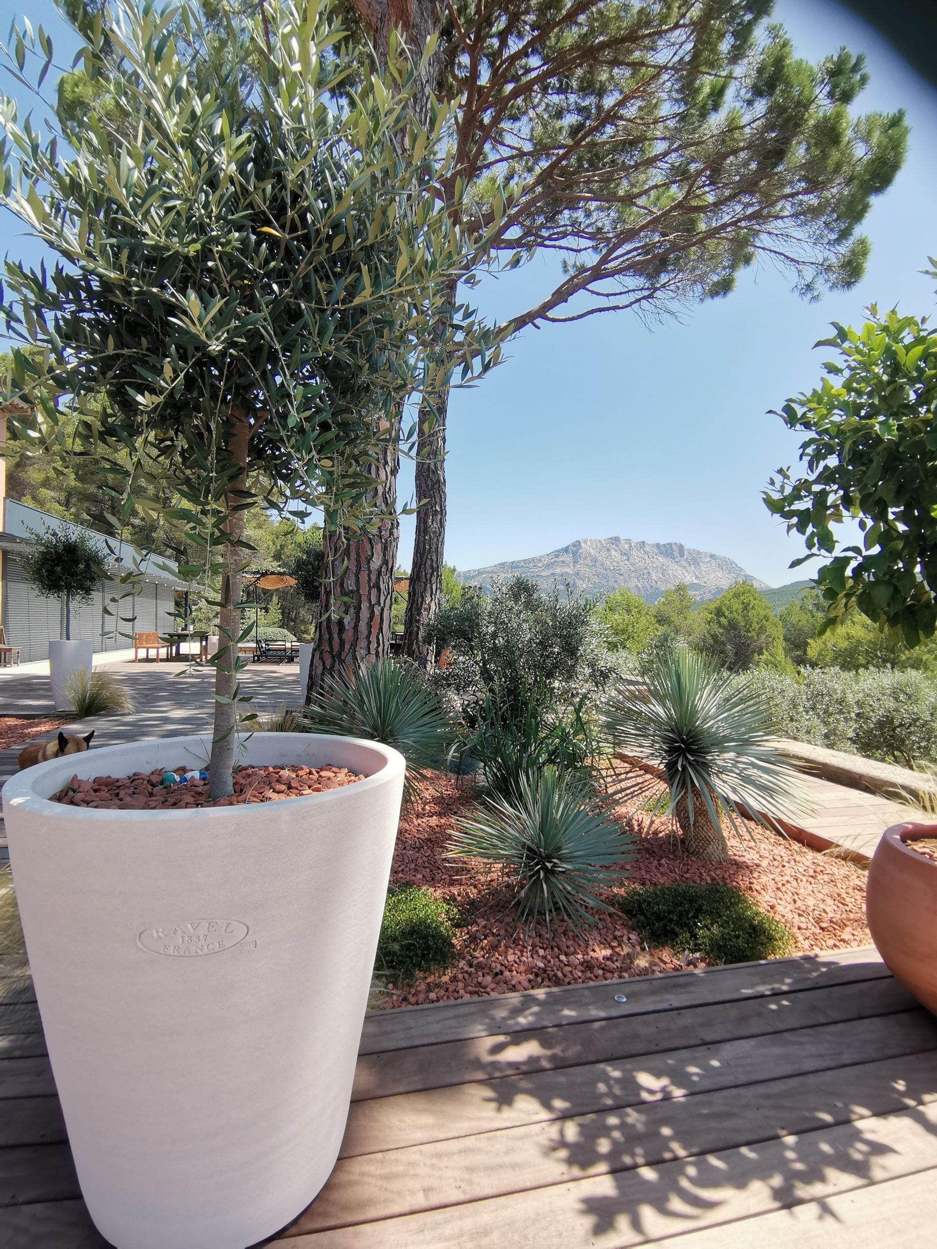 Pots avec arbustes et plantes vertes à le Tholonet