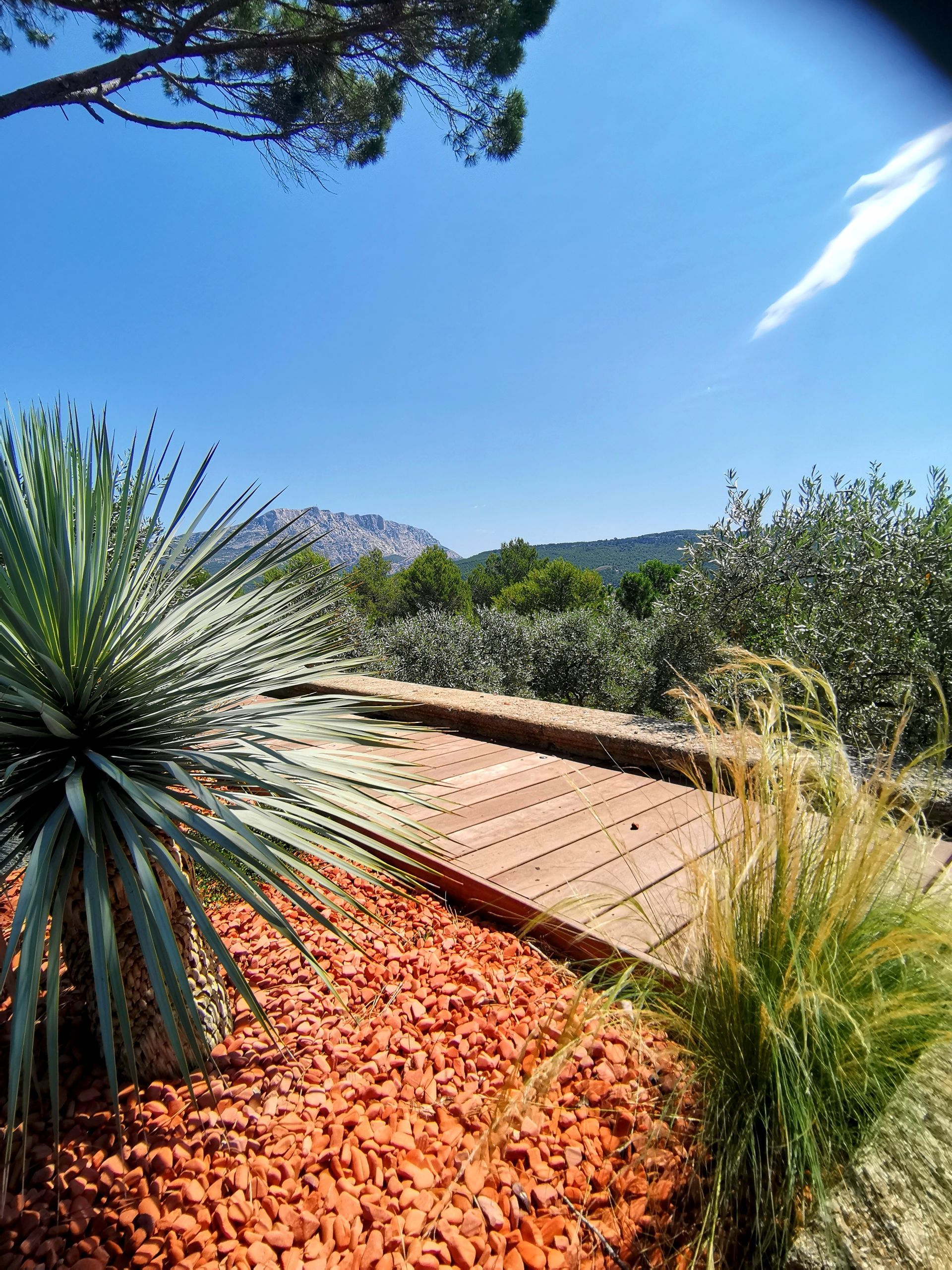Vue de la terrasse et de la végétation à le Tholonet
