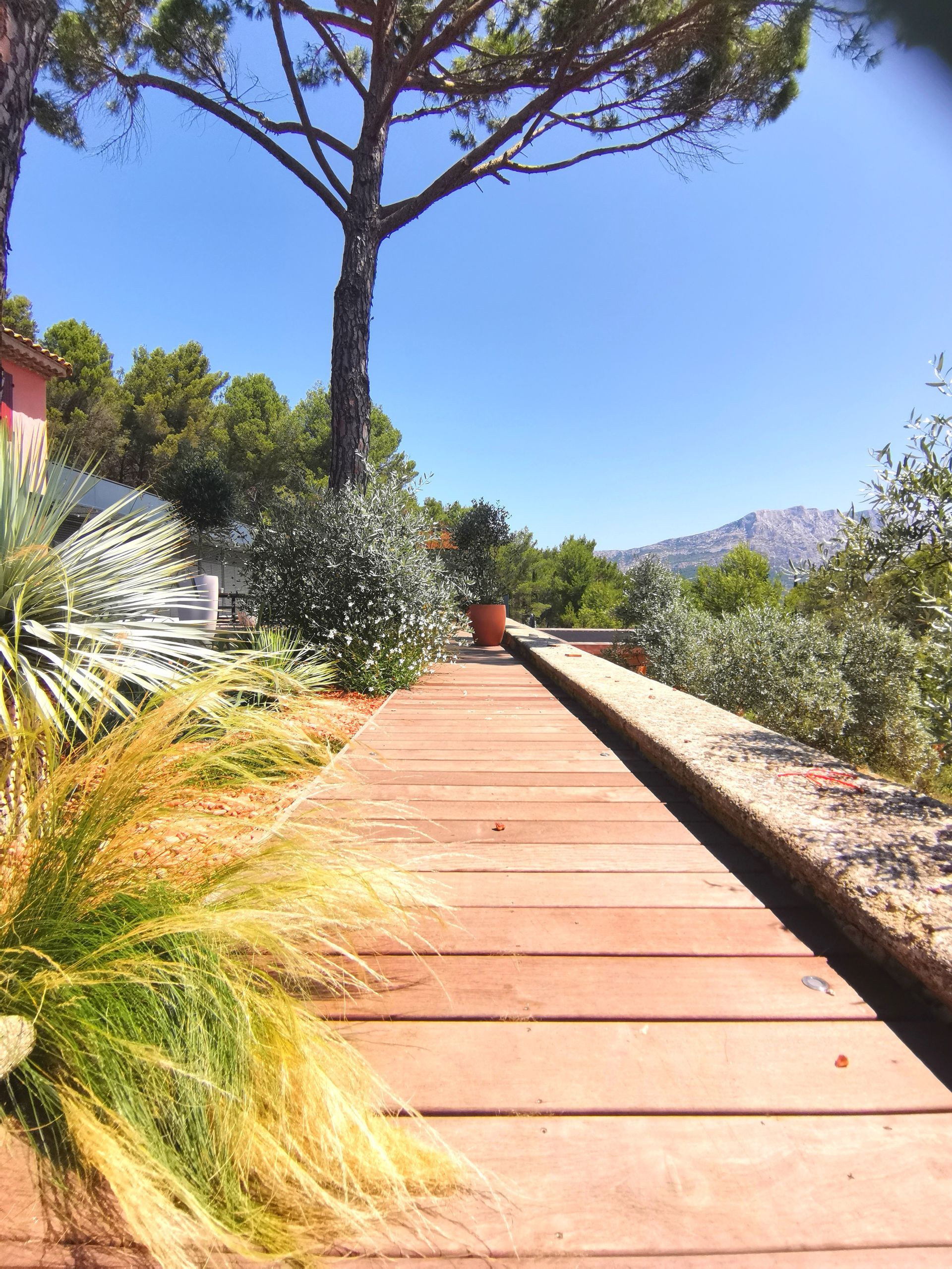 Pots et arbres sur la terrasse en bois à le Tholonet
