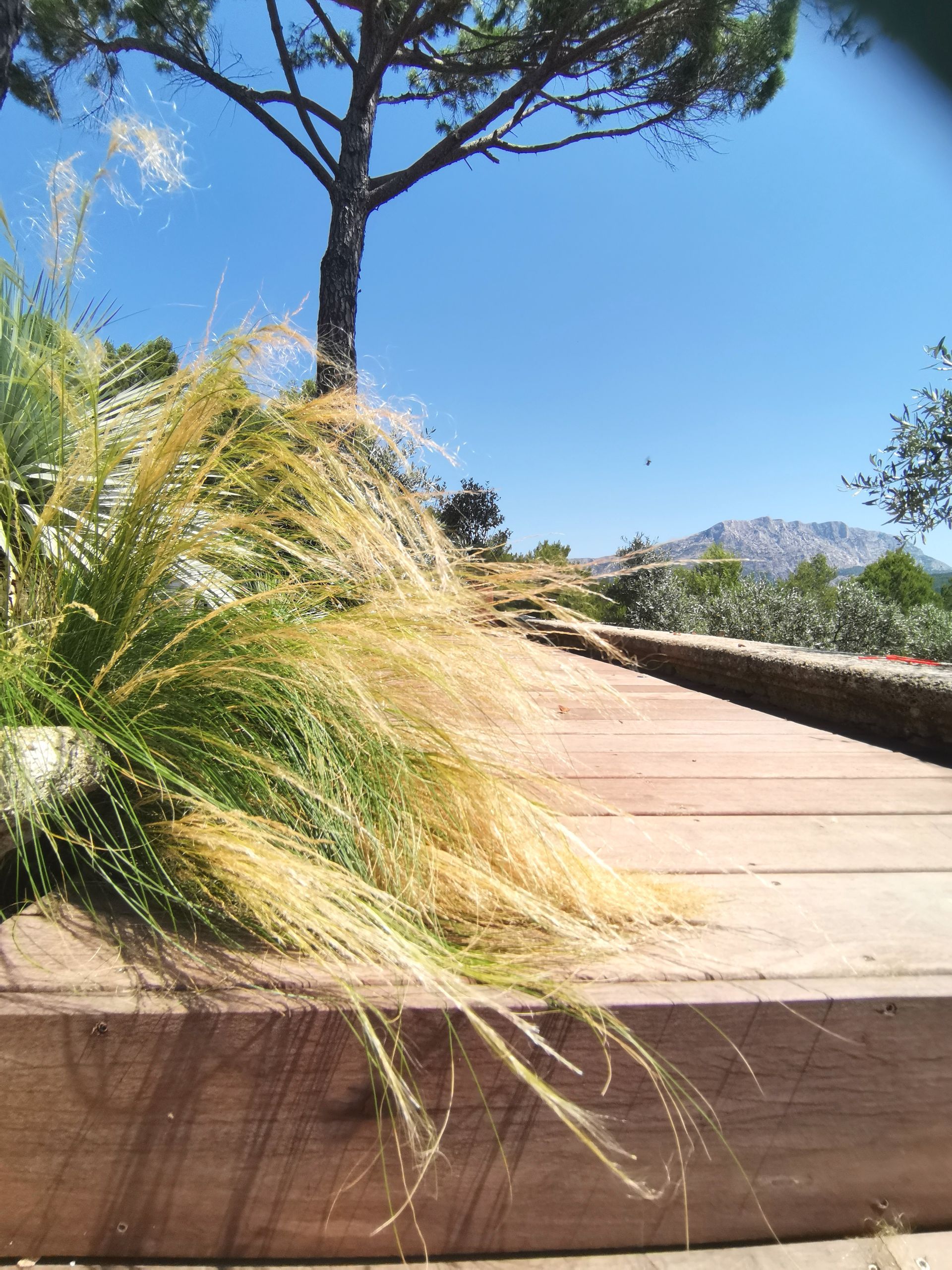 Terrasse en bois à le Tholonet