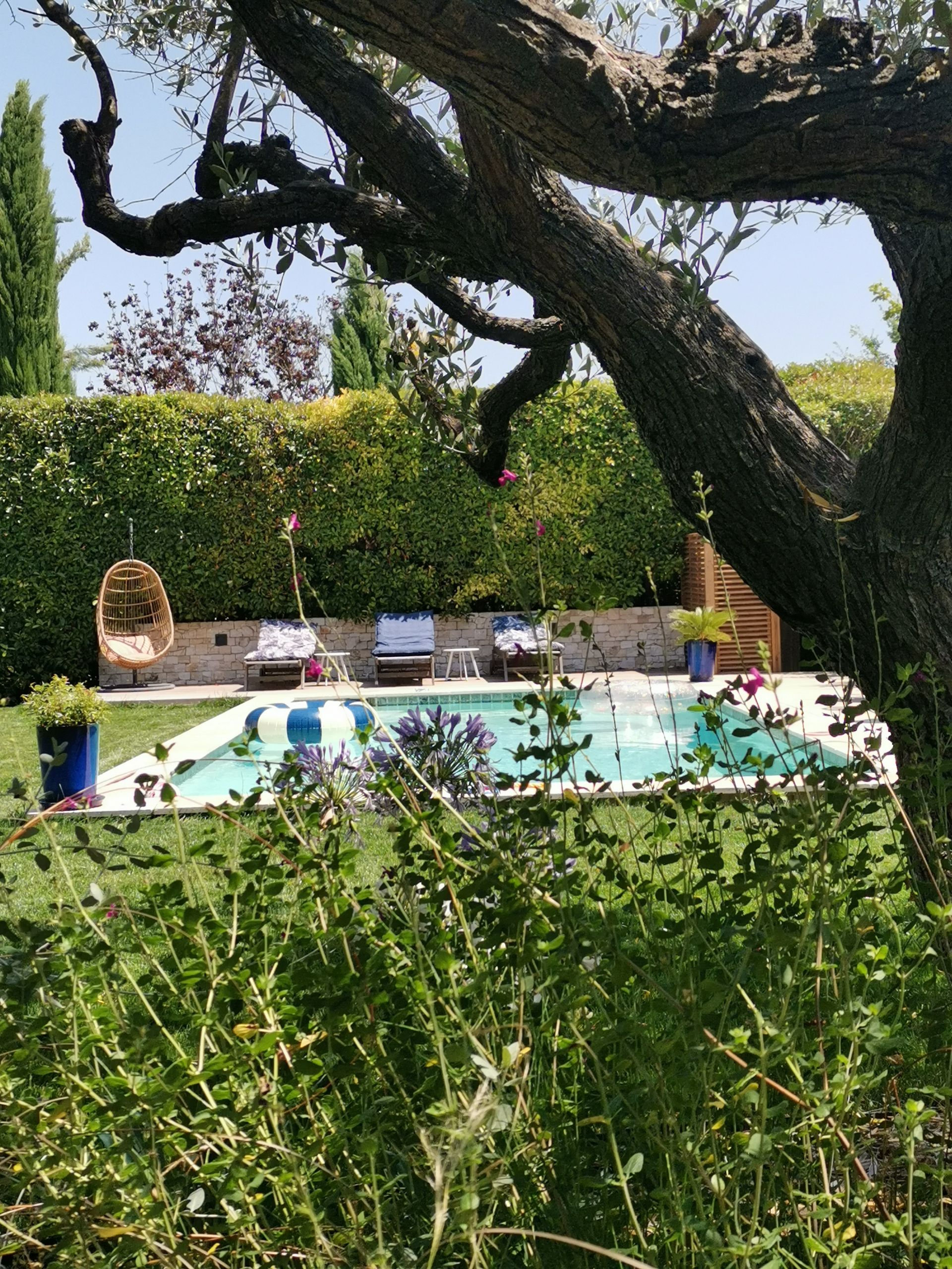 Jardin fleuri et piscine à Aix-en-Provence