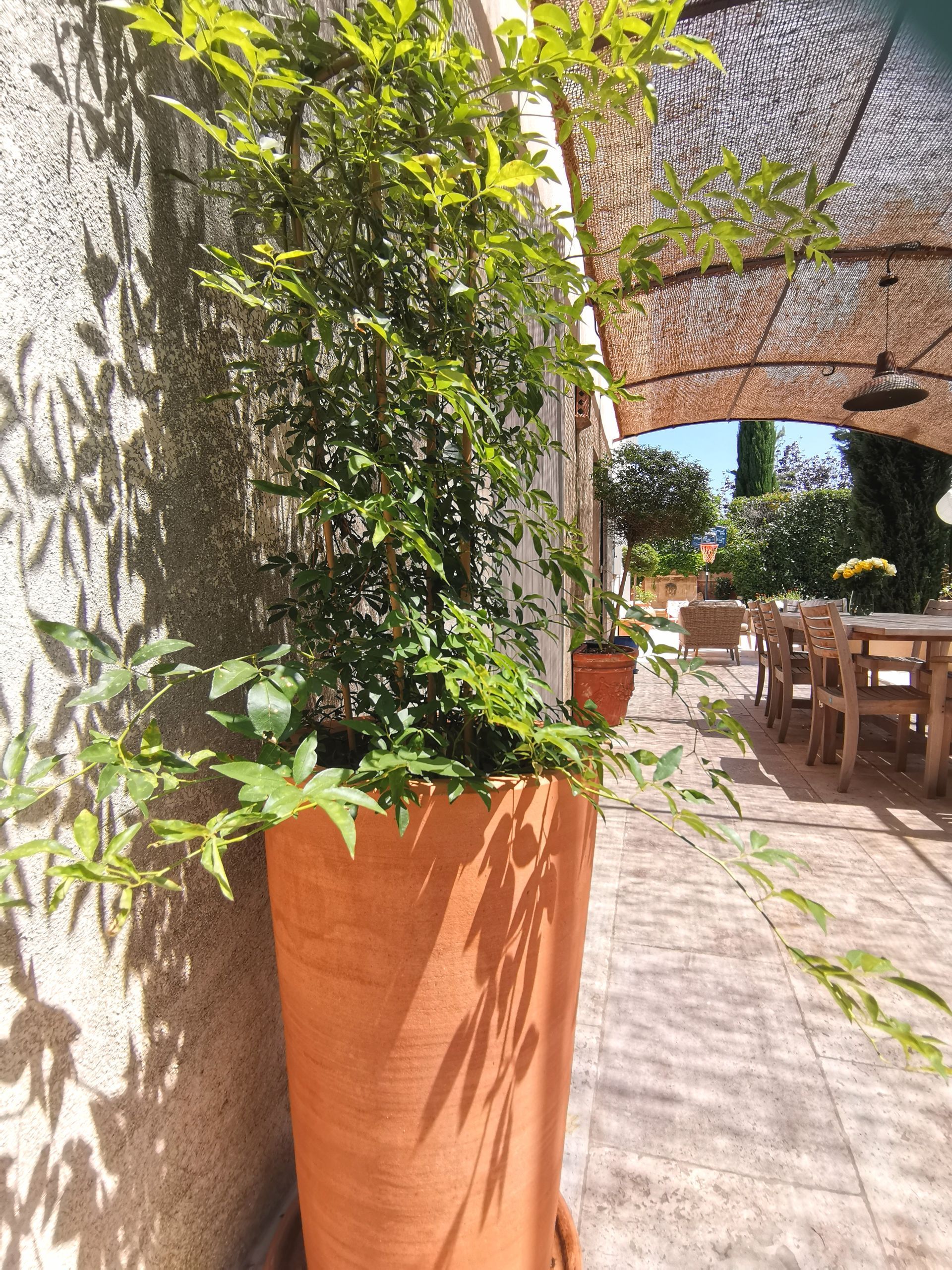 Terrasse, gros pot en terre cuite à Aix-en-Provence