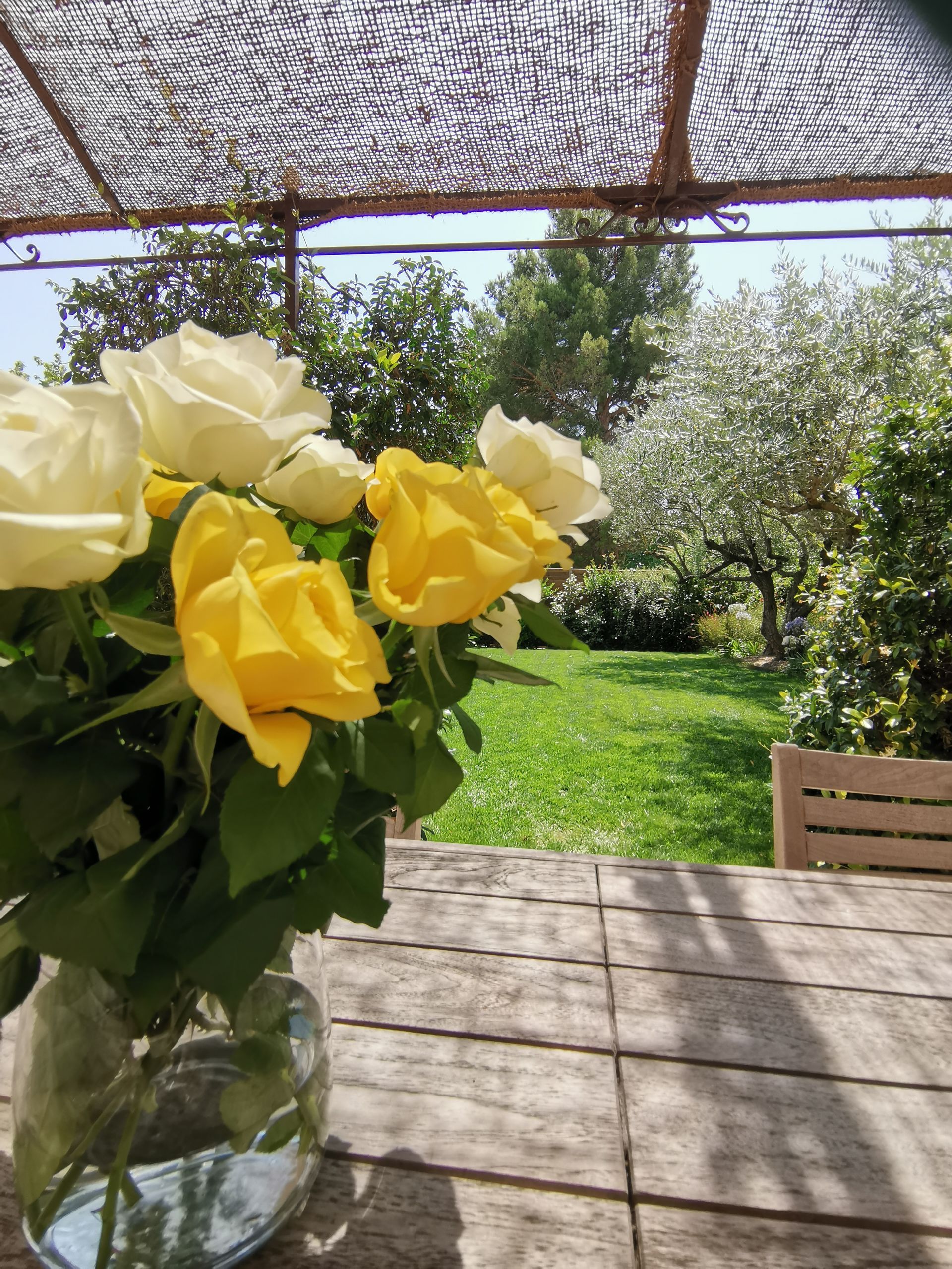 Bouquet de rosier jaune sur table de jardin à Aix-en-Provence
