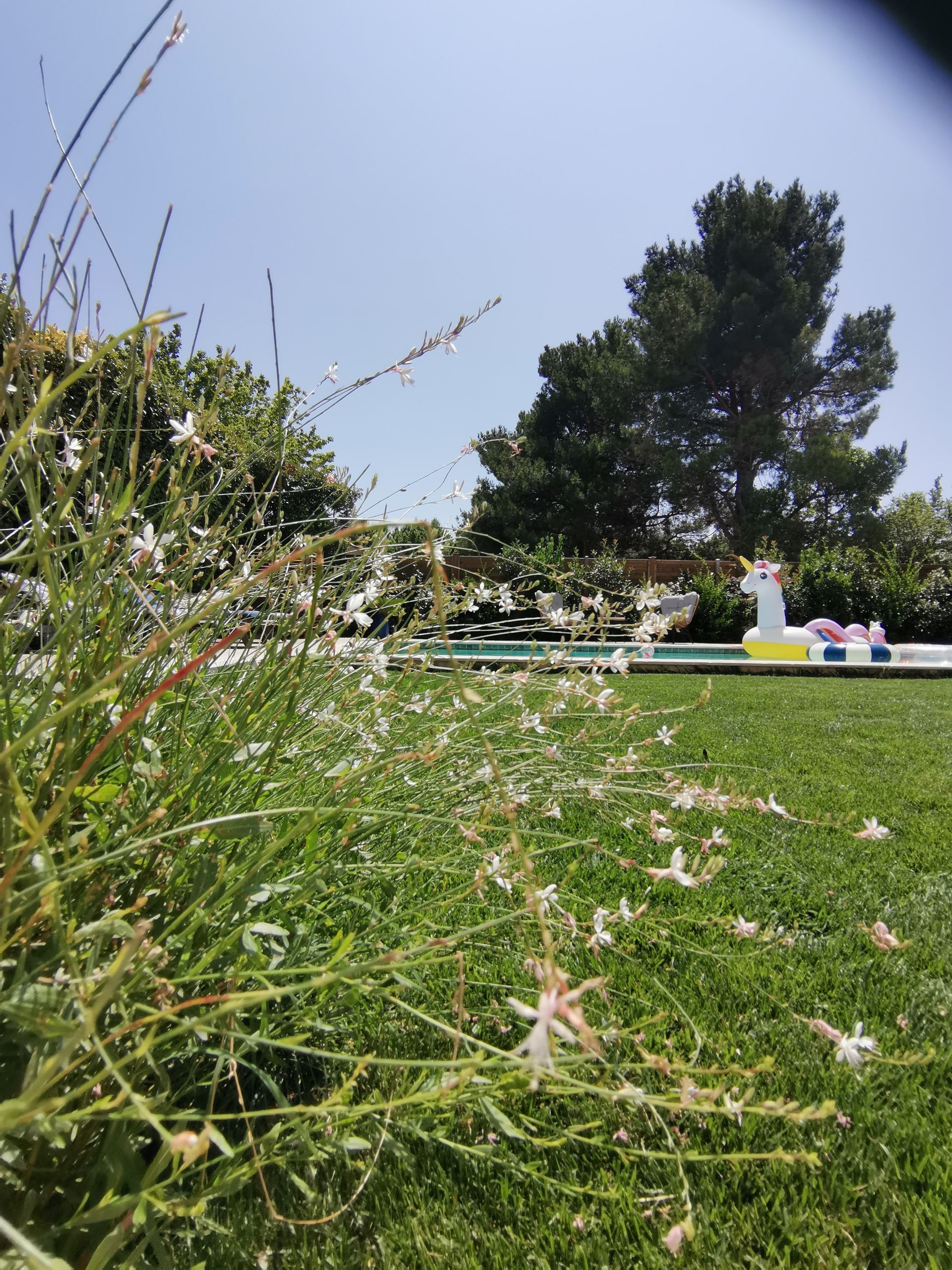 Vue de la piscine depuis le jardin à Aix-en-Provence