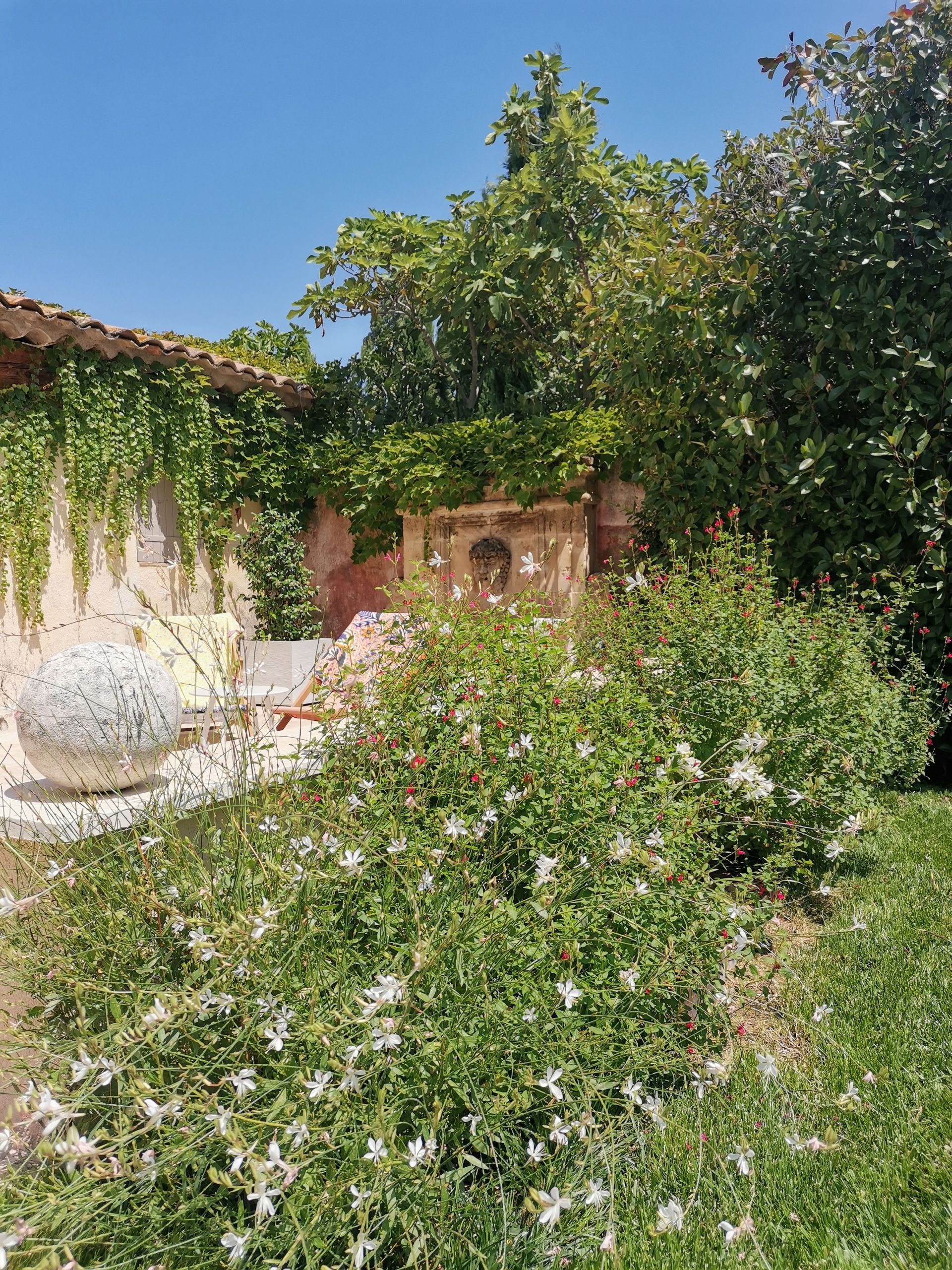 Terrasse des plantes vertes et des chaises de jardin dans un jardin à Aix-en-Provence