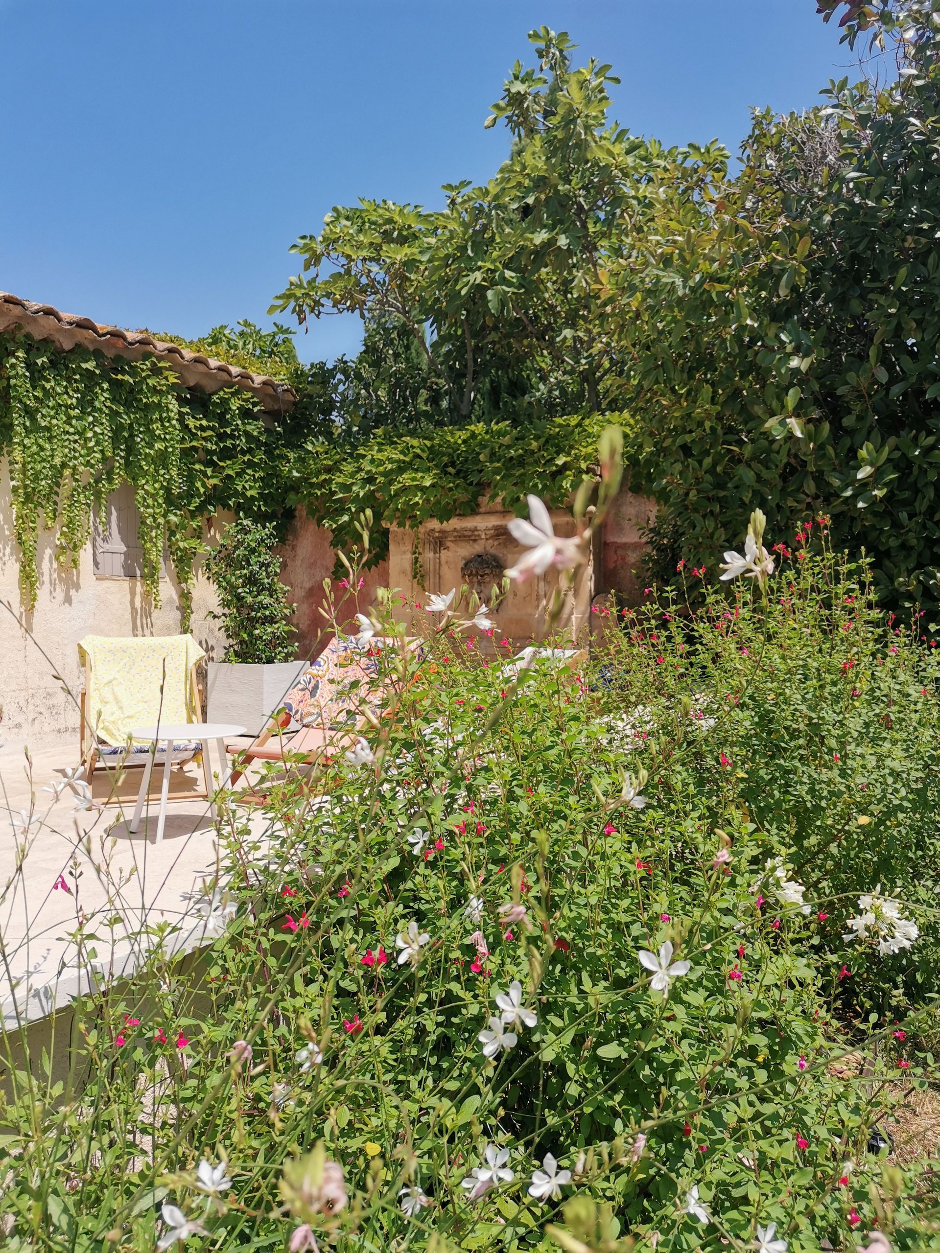 Terrasse avec des chaises de jardin et beaucoup de plantes vertes dans un jardin à Aix-en-Provence