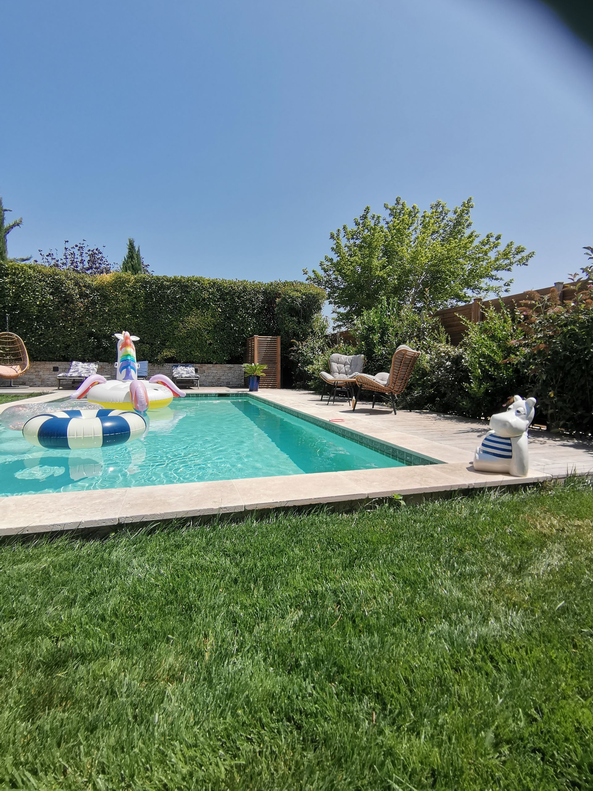 Piscine dans un jardin avec pelouse à Aix-en-Provence