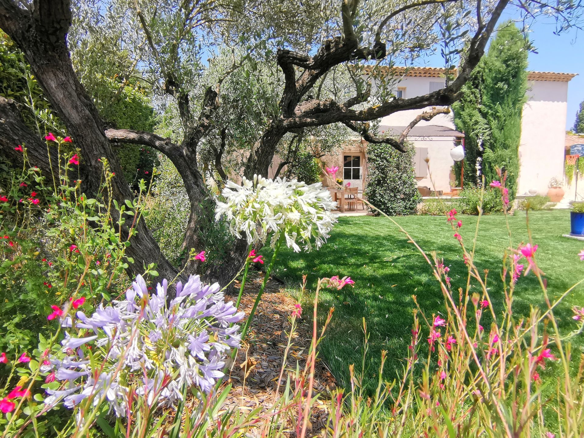 Vue d'un jardin avec des fleurs, des arbres et une terrasse d'une maison à Aix-en-Provence