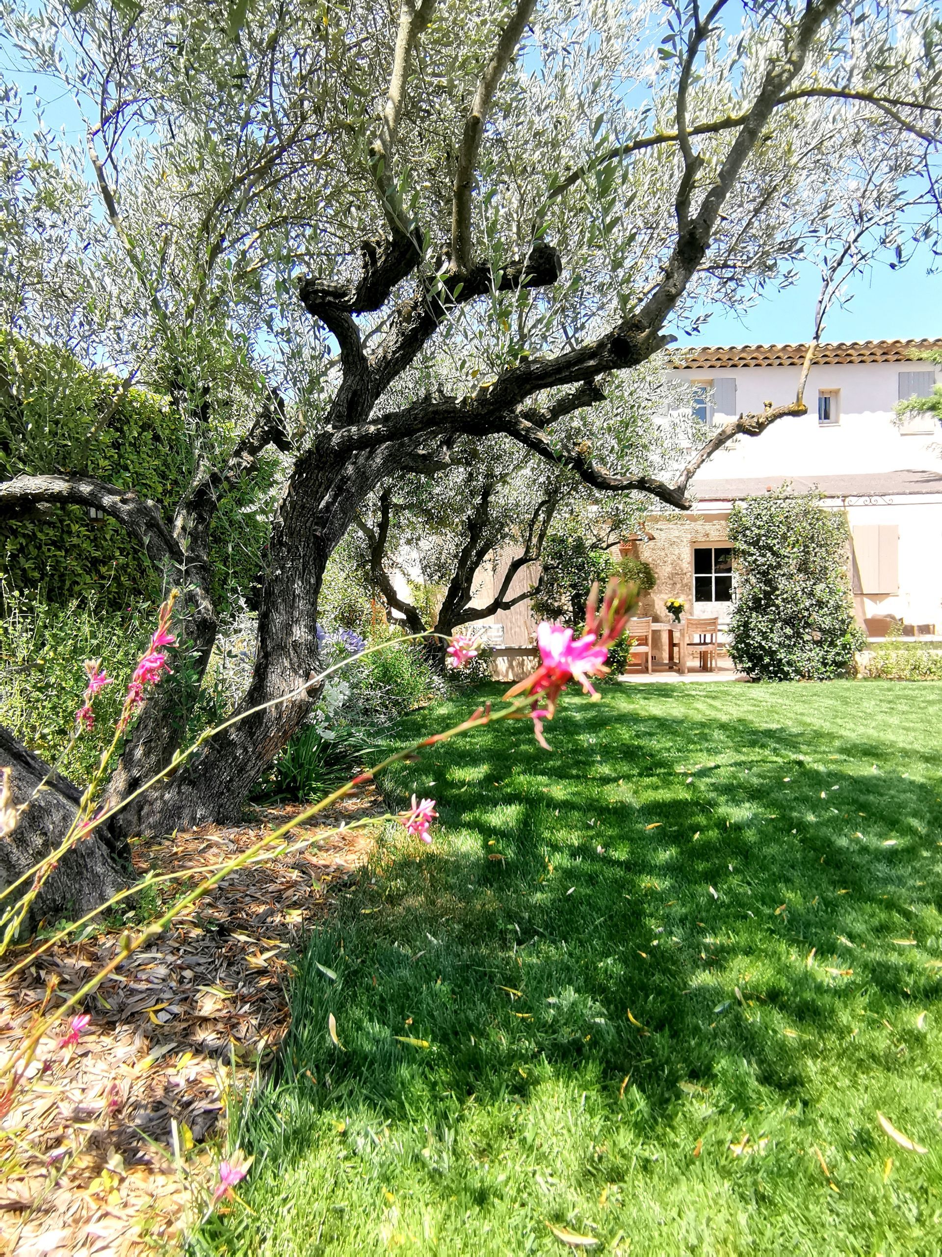 Grand jardin avec des arbres et pelouse ainsi que terrasse d'une maison à Aix-en-Provence