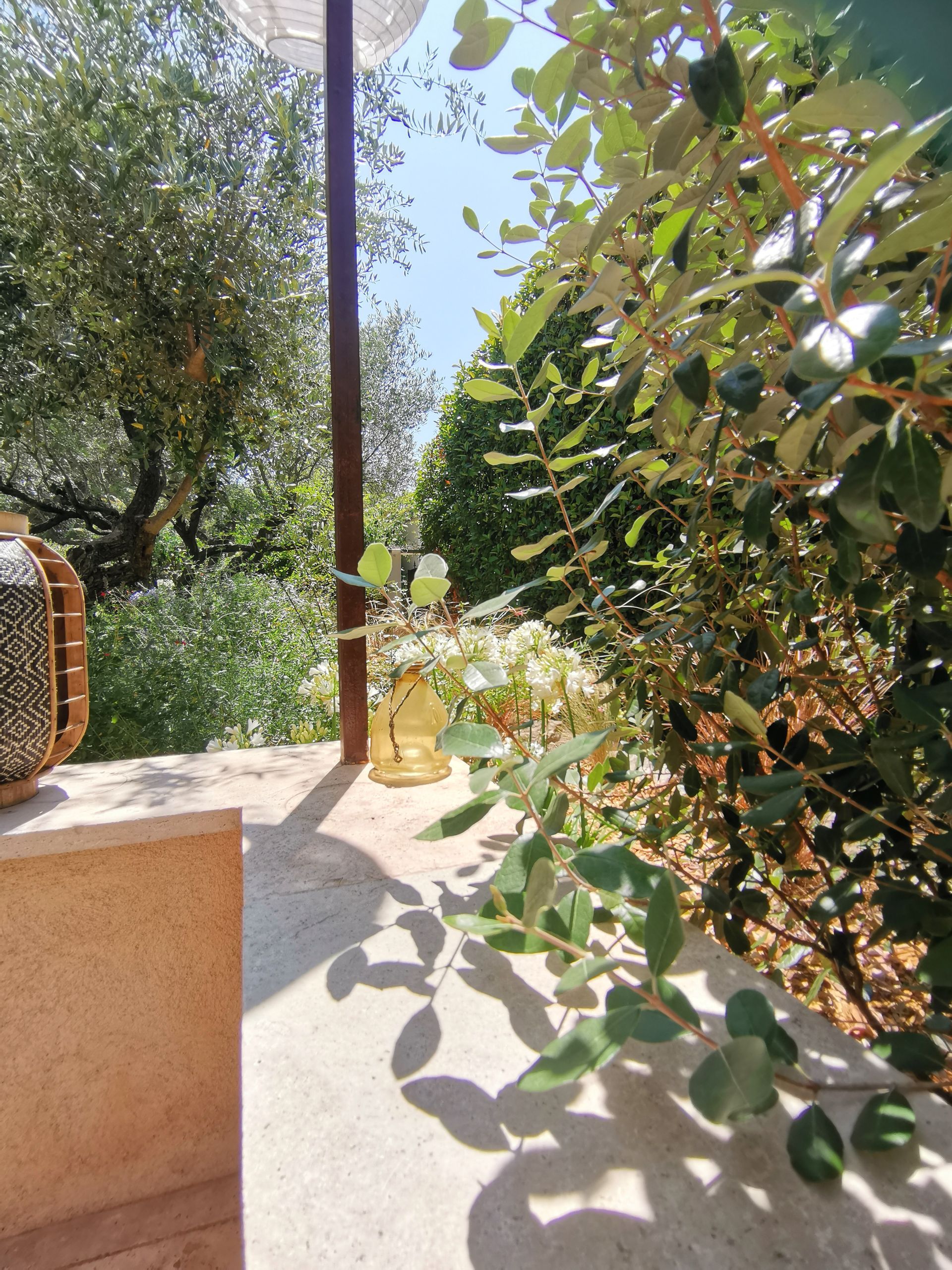 Plusieurs arbres dans un jardin avec une terrasse à Aix-en-Provence
