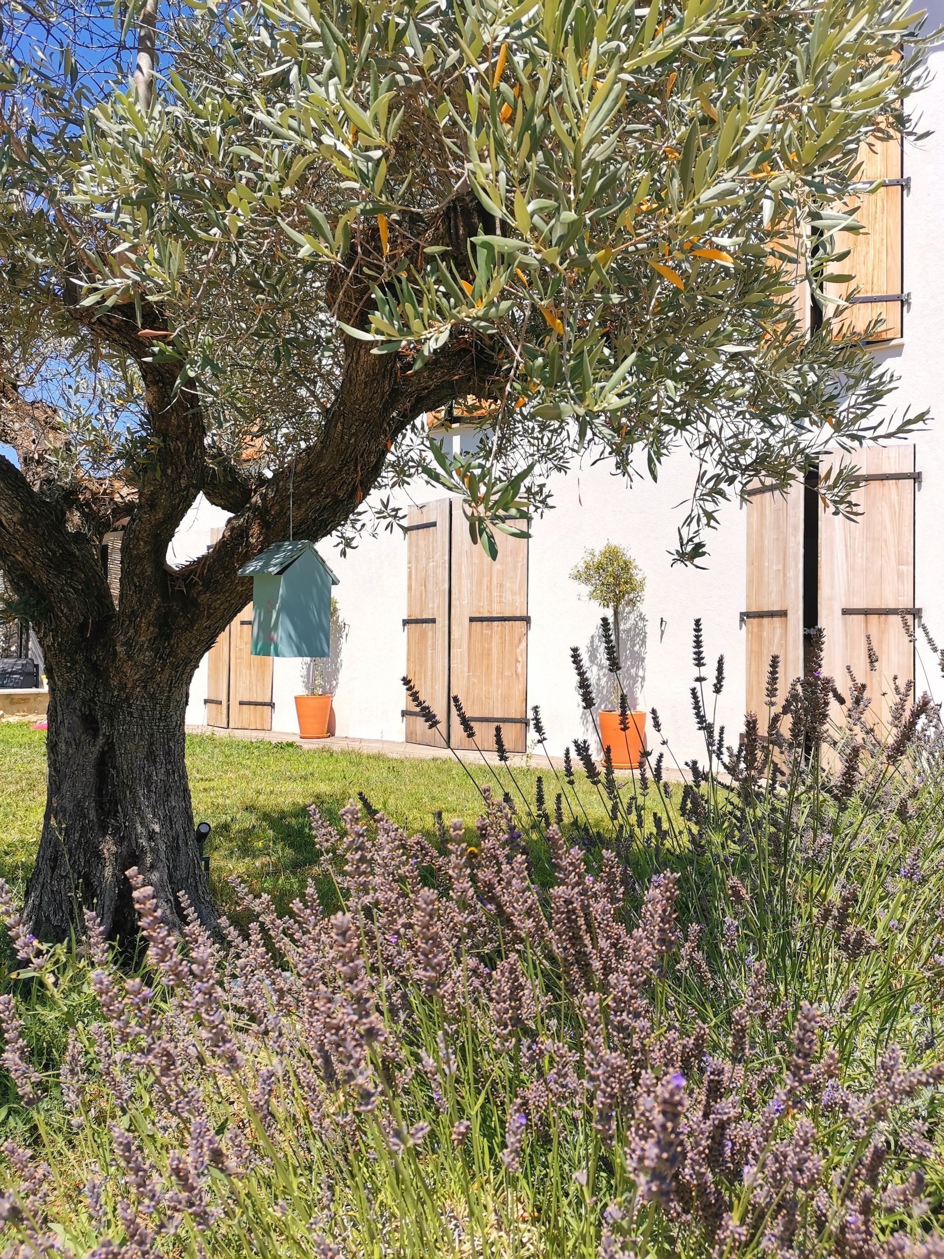 Création jardin Aix en Provence 