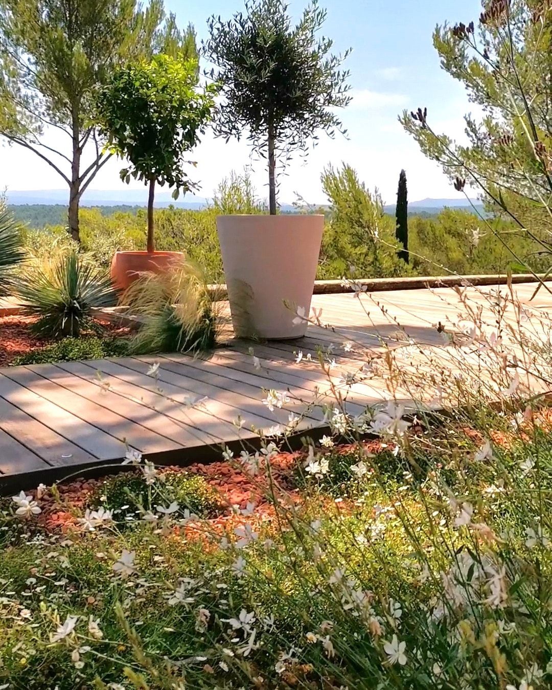 Terrasse en bois avec des pots et des variétés de fleurs