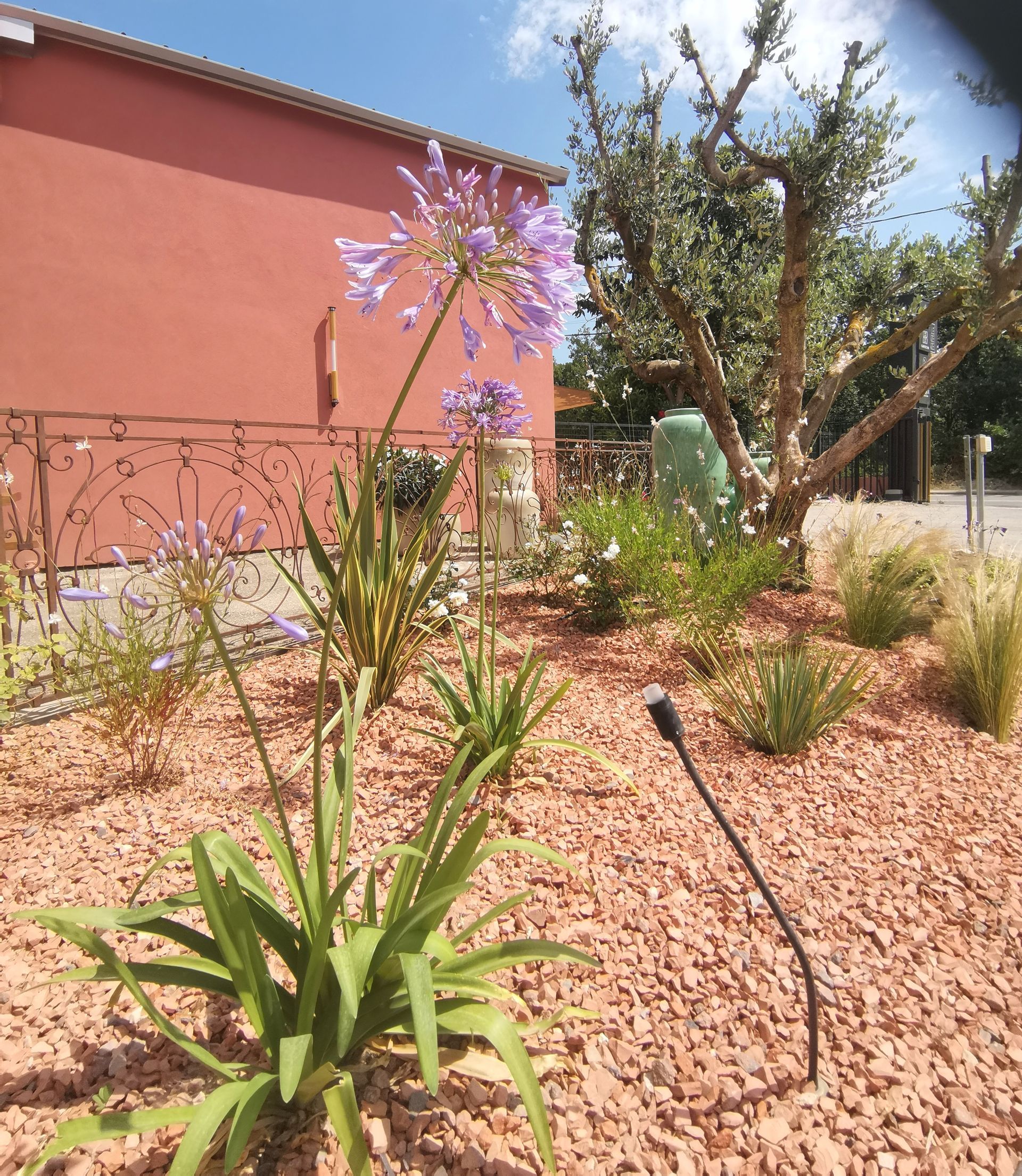 Création de Jardin Aix en Provence 