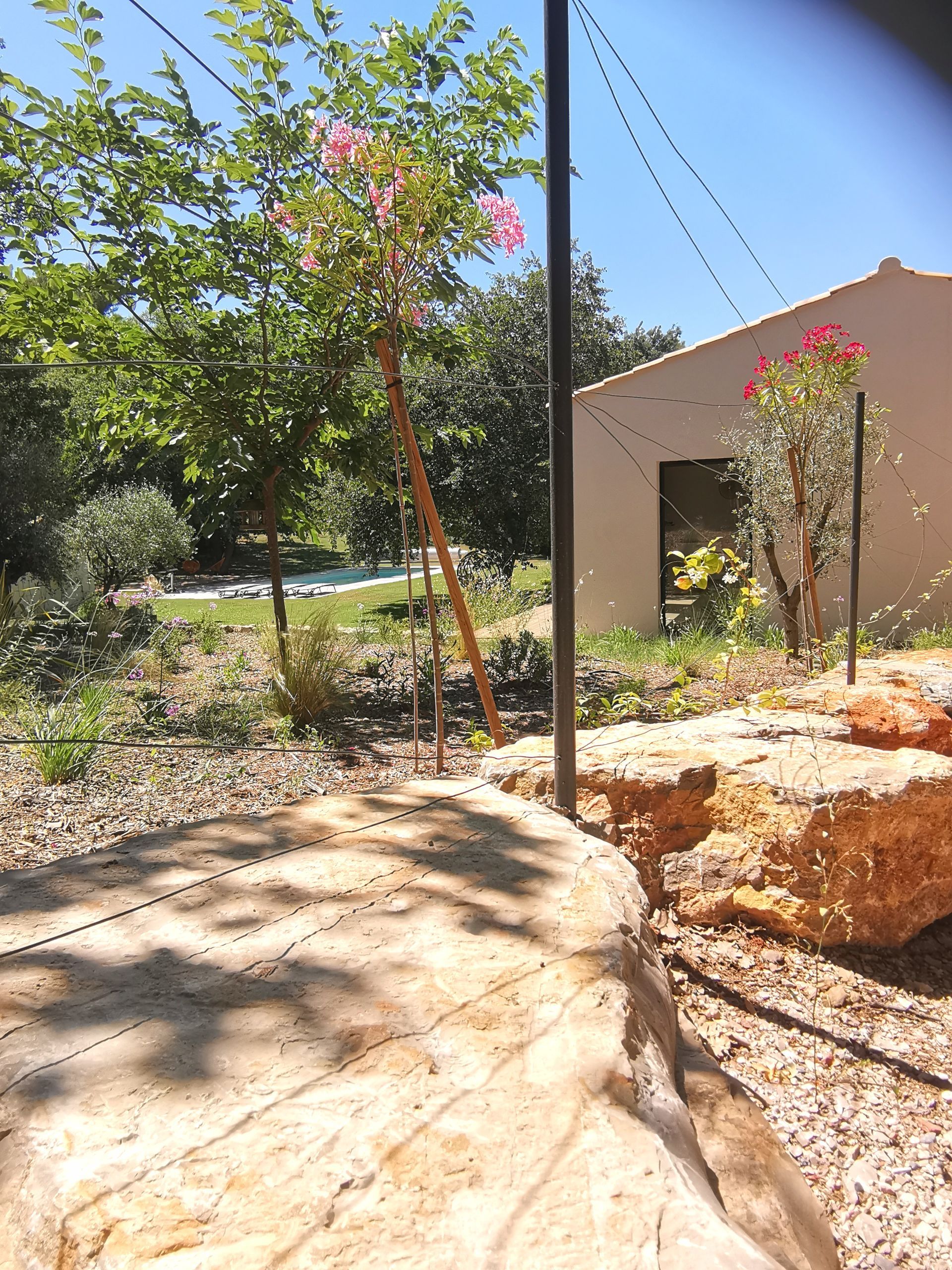 Piscine, grosses roches et Lilas des Indes dans un jardin à Aix-en-Provence